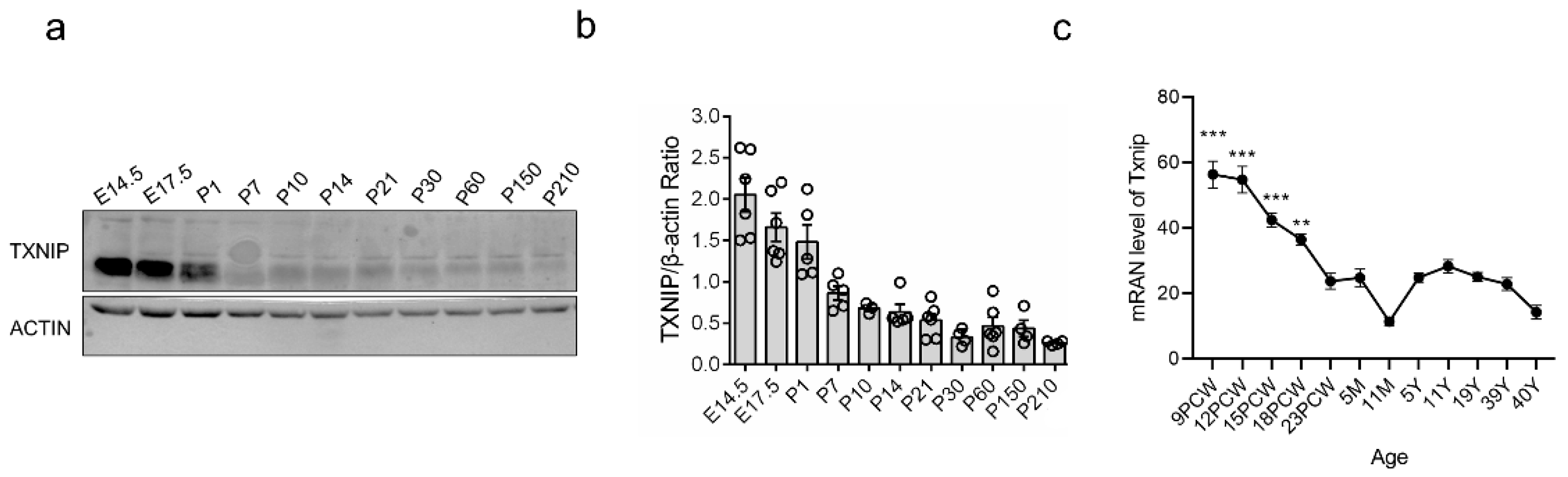 Brainsci 12 01395 g001