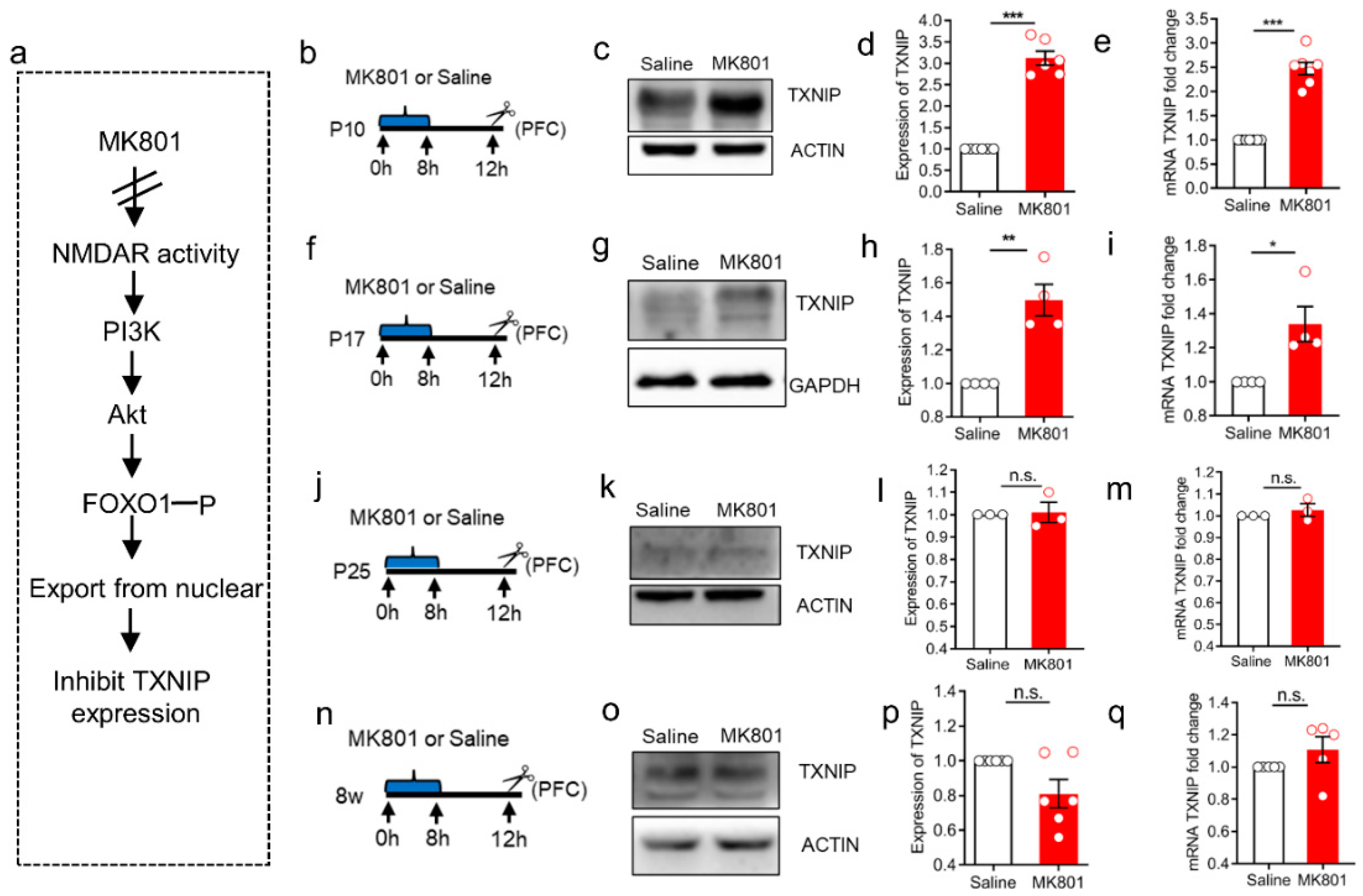 Brainsci 12 01395 g002