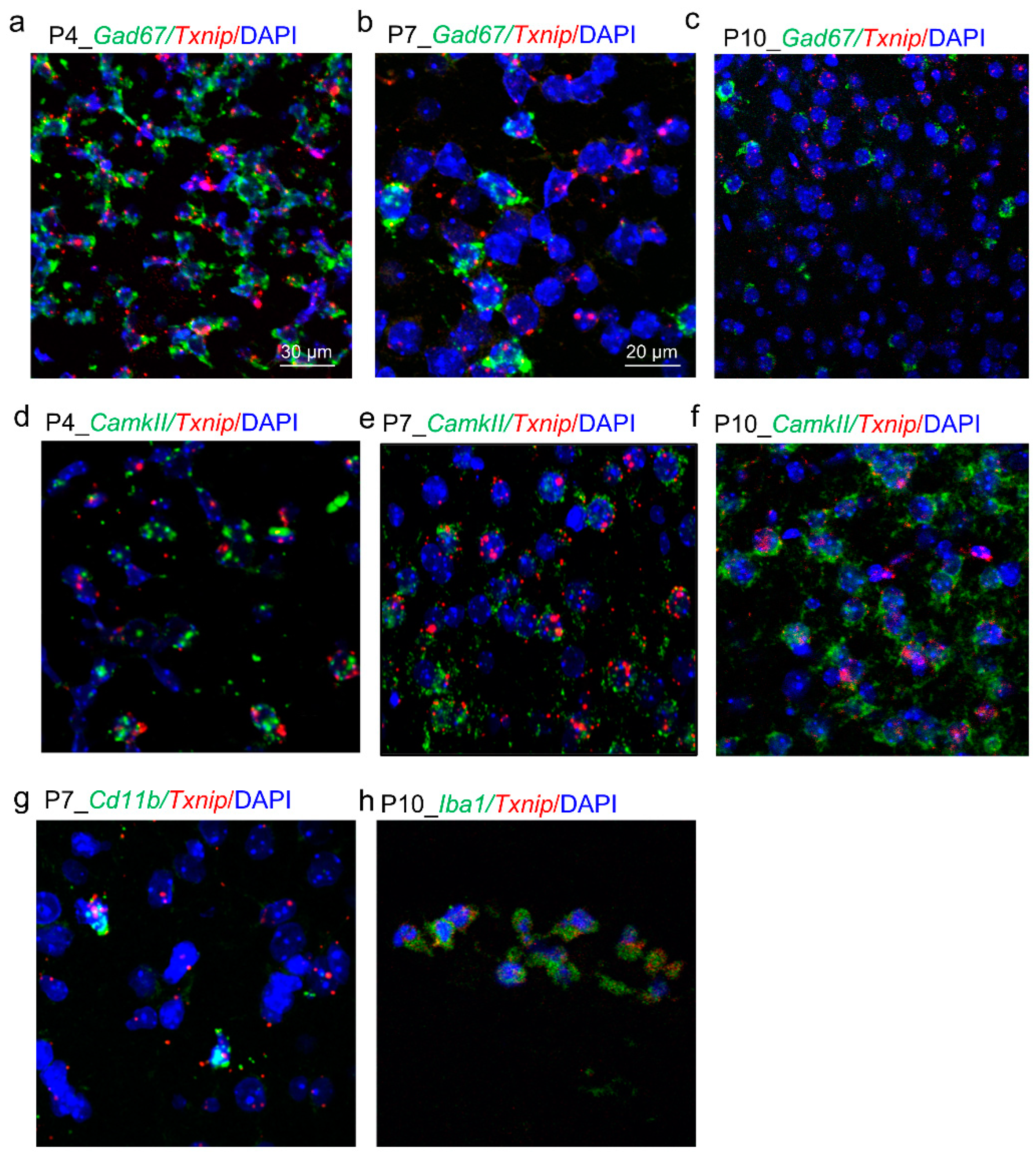Brainsci 12 01395 g003