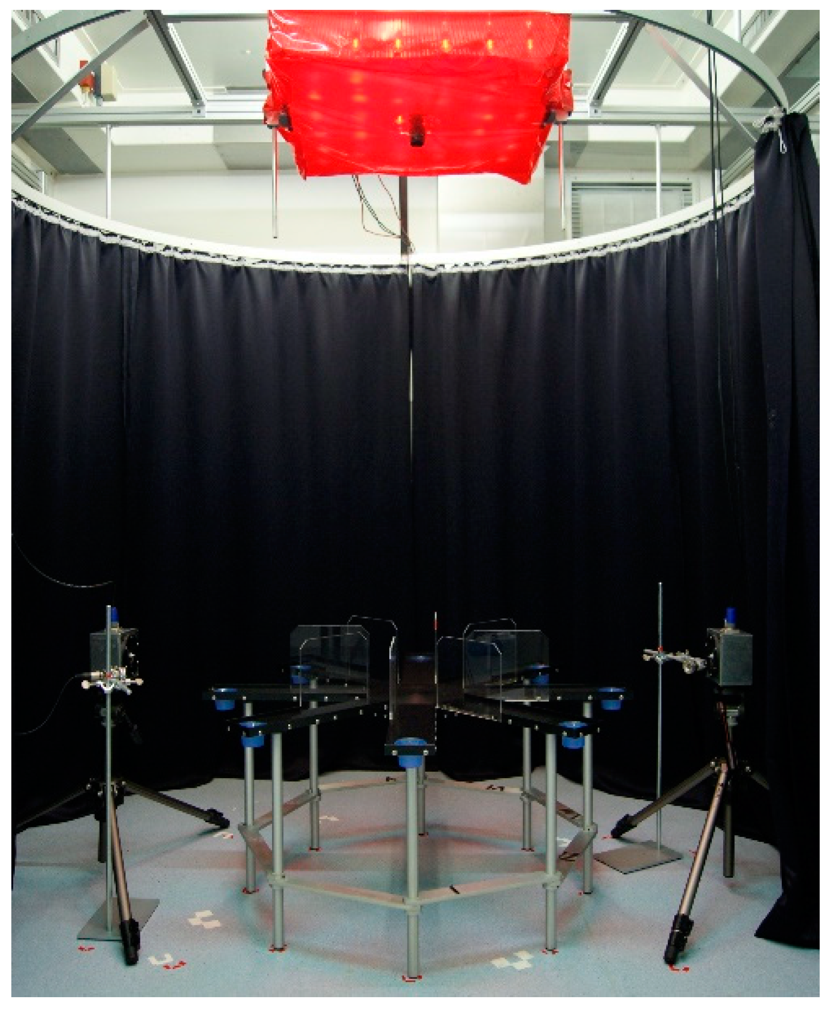 Brainsci 12 01474 g002