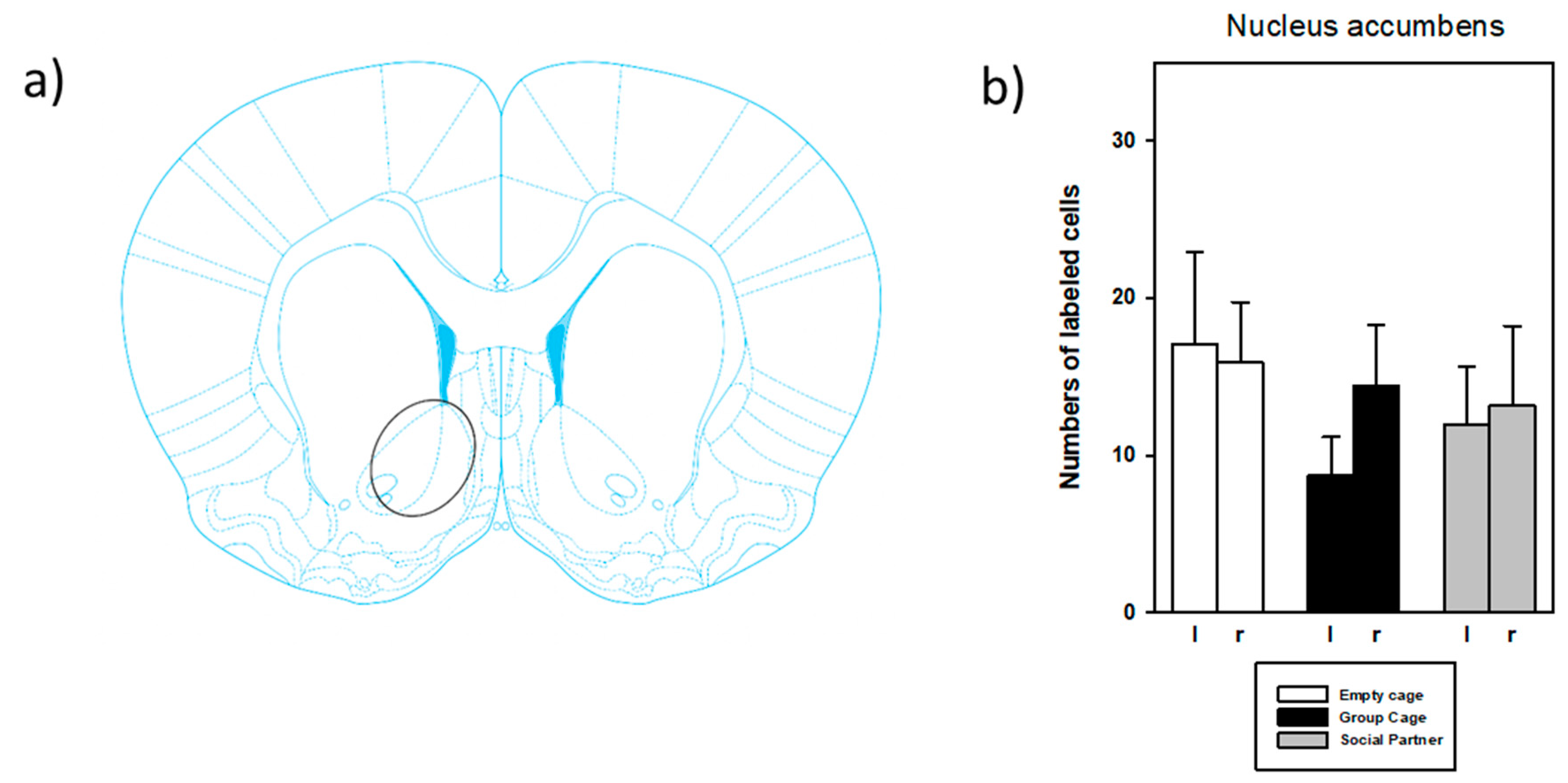 Brainsci 12 01474 g011
