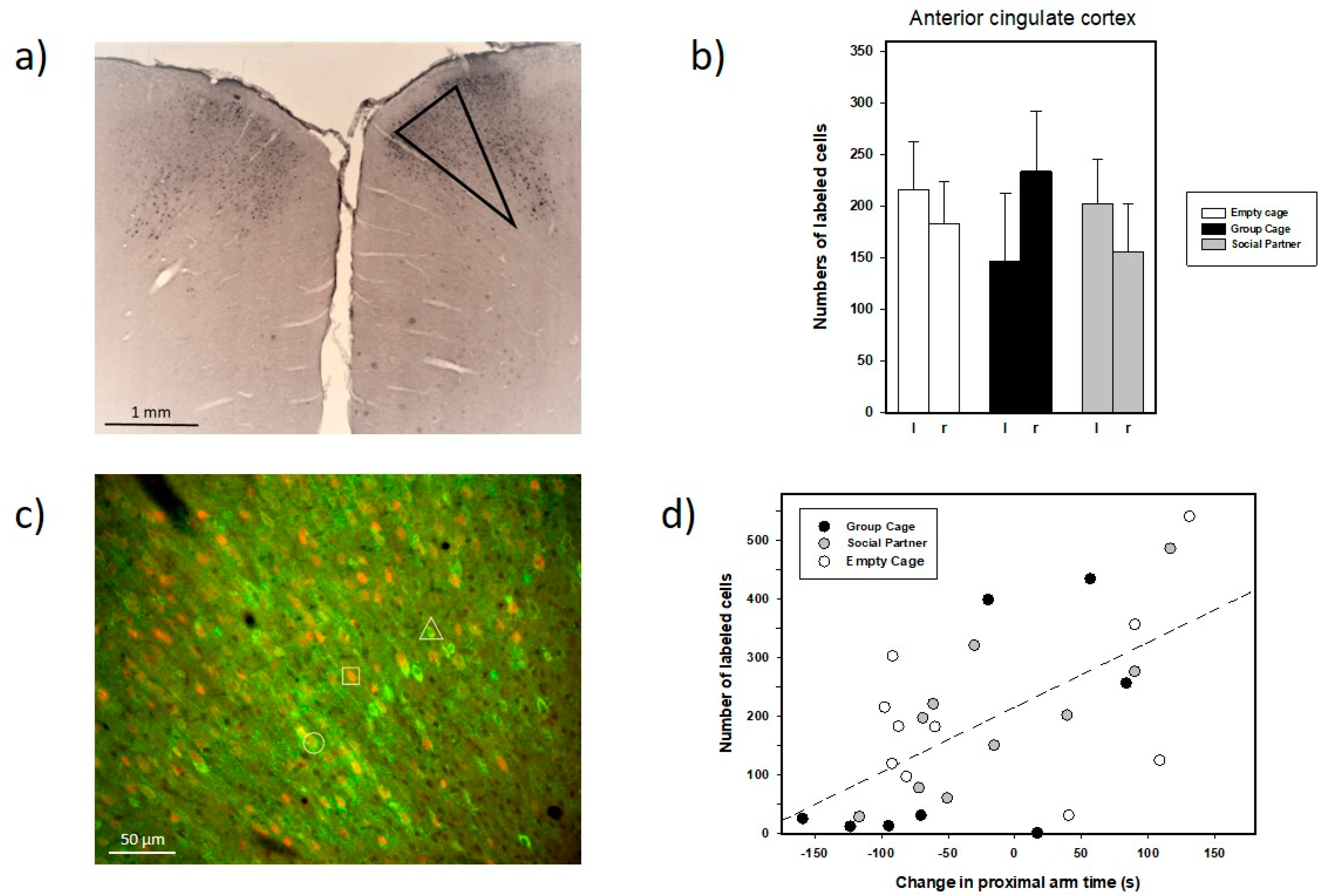 Brainsci 12 01474 g012