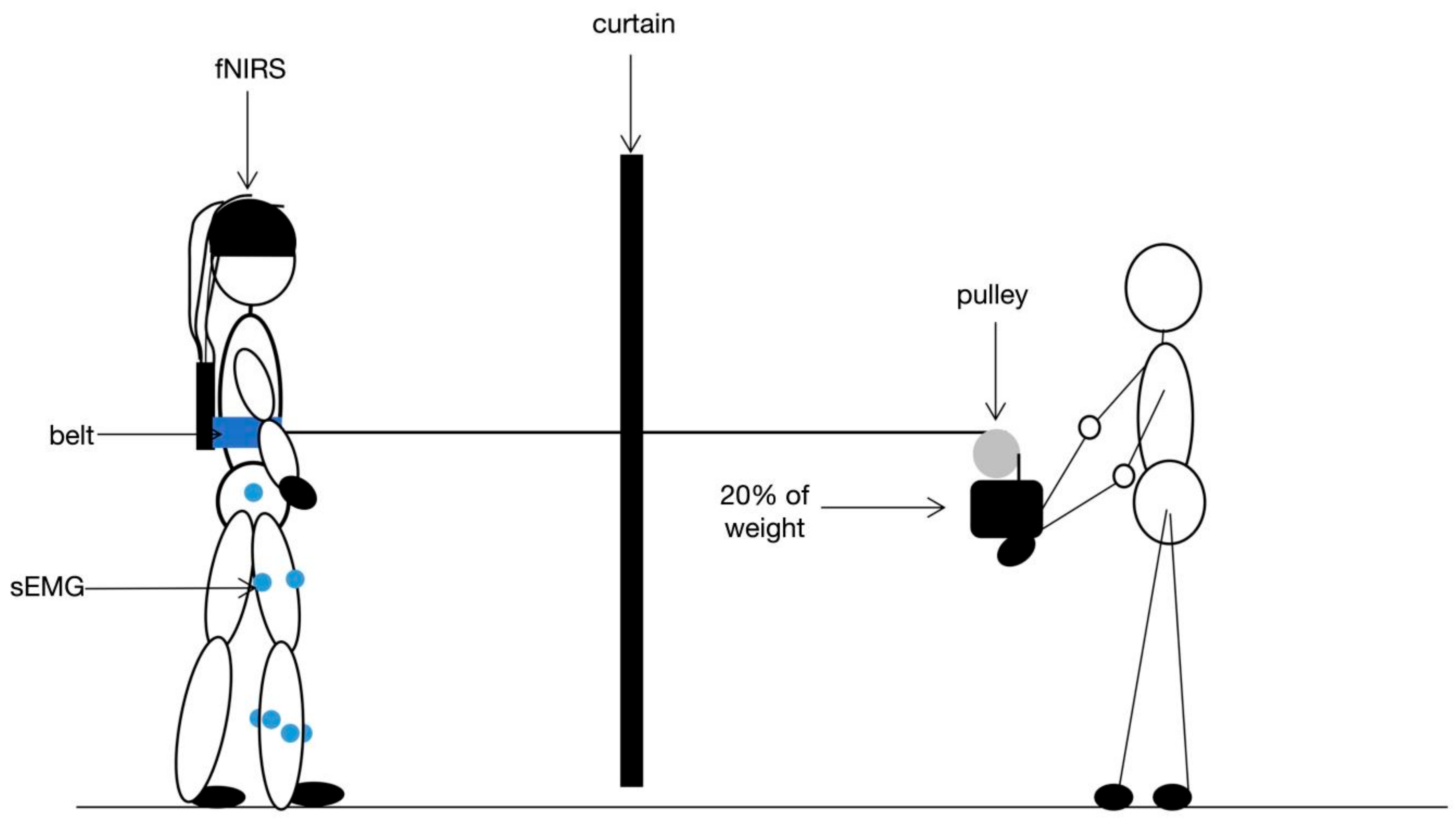 Brainsci 12 01479 g001