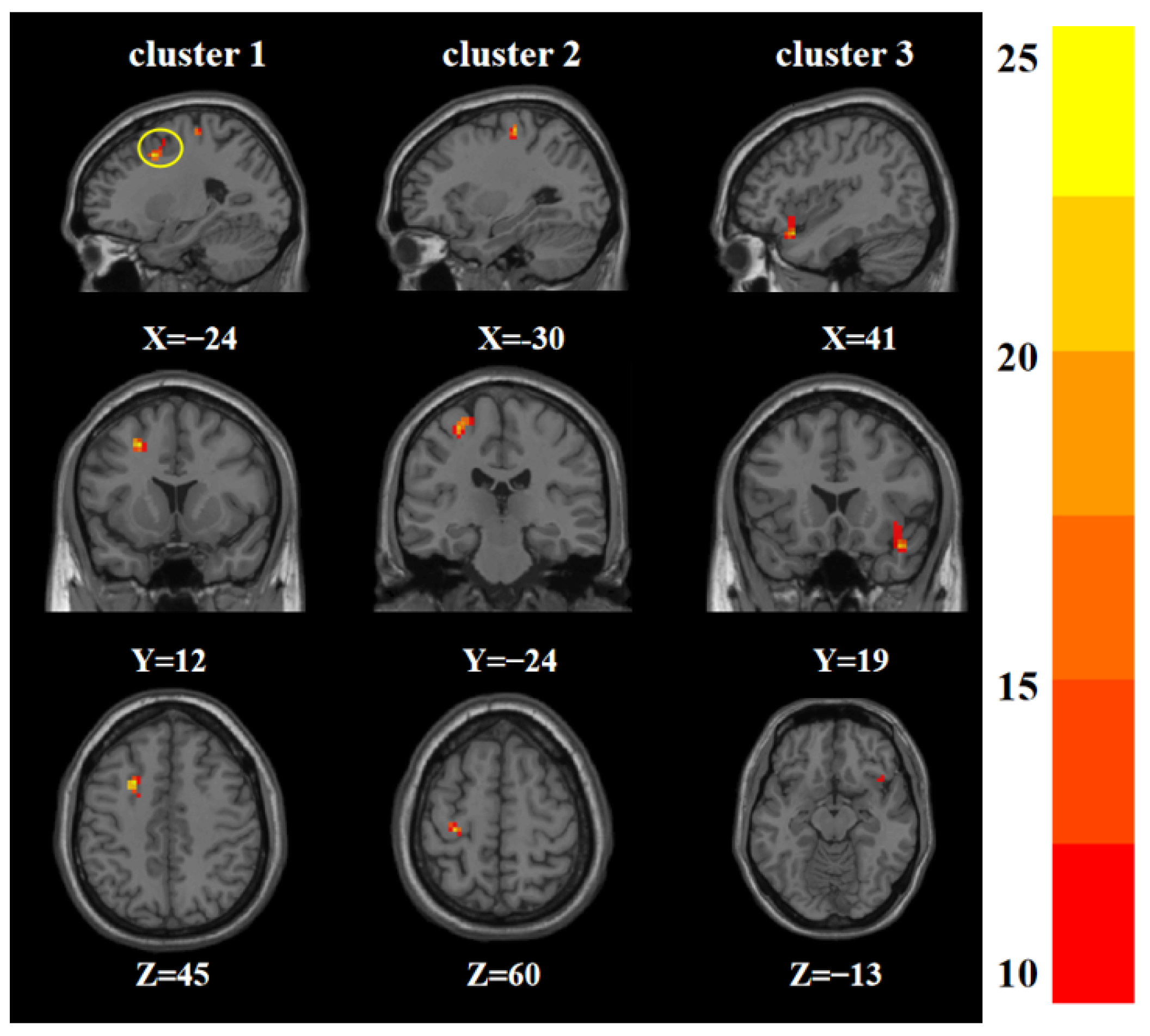Brainsci 12 01508 g002