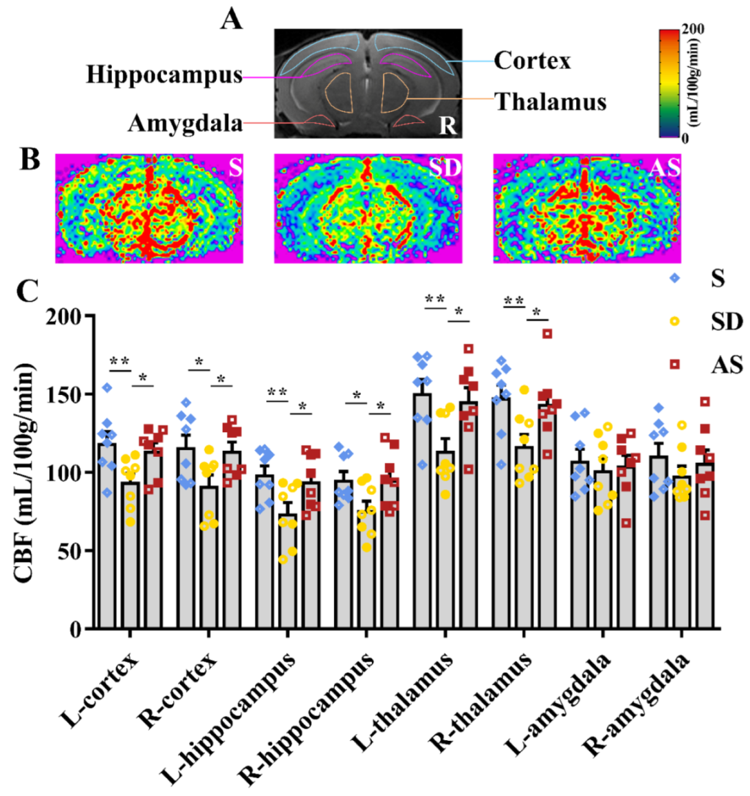 Brainsci 12 01509 g004