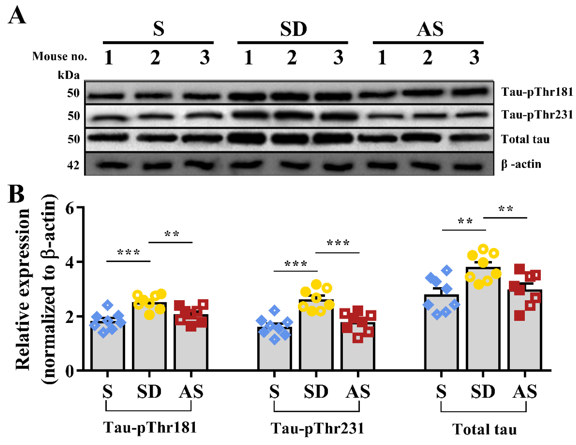 Brainsci 12 01509 g006