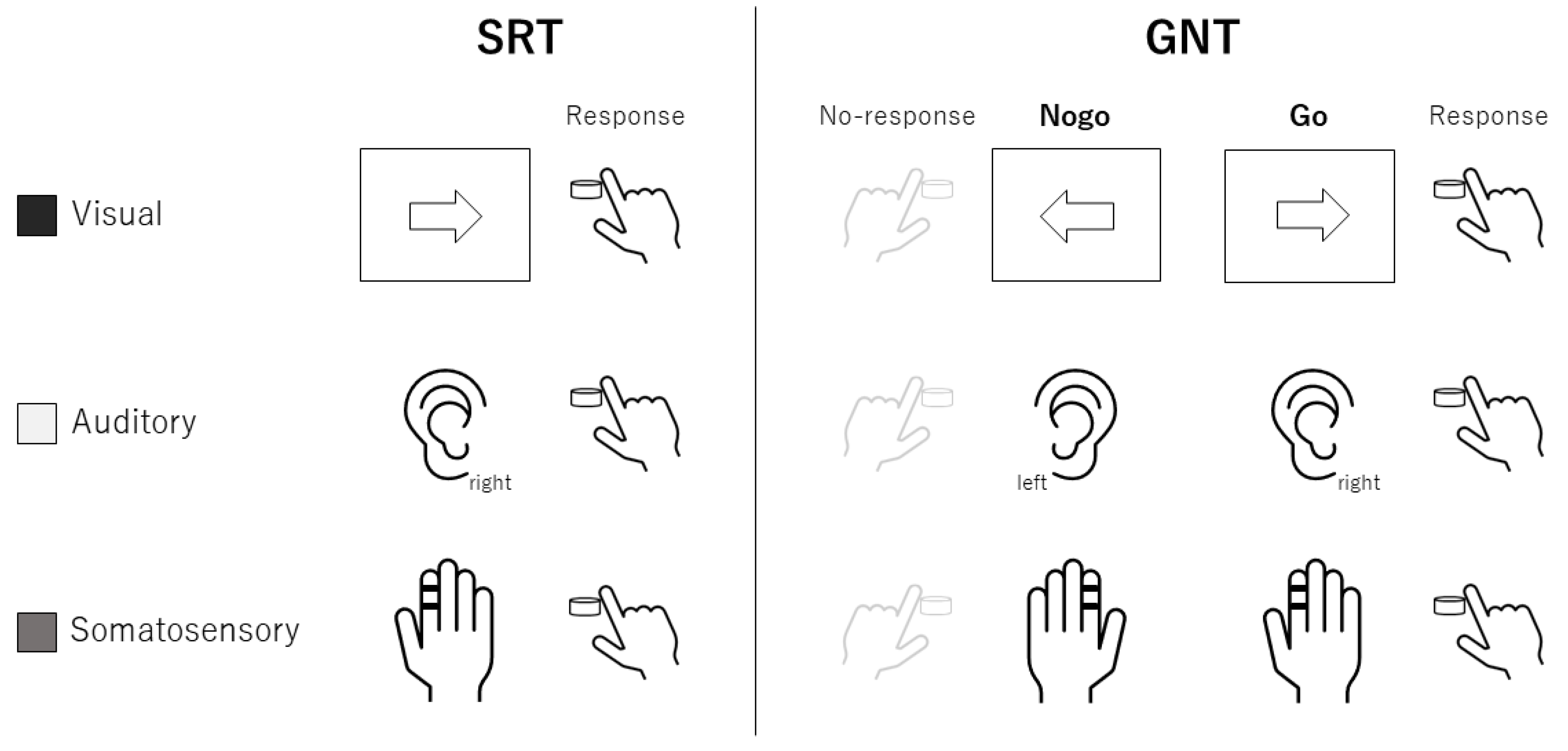 Brainsci 12 01530 g002