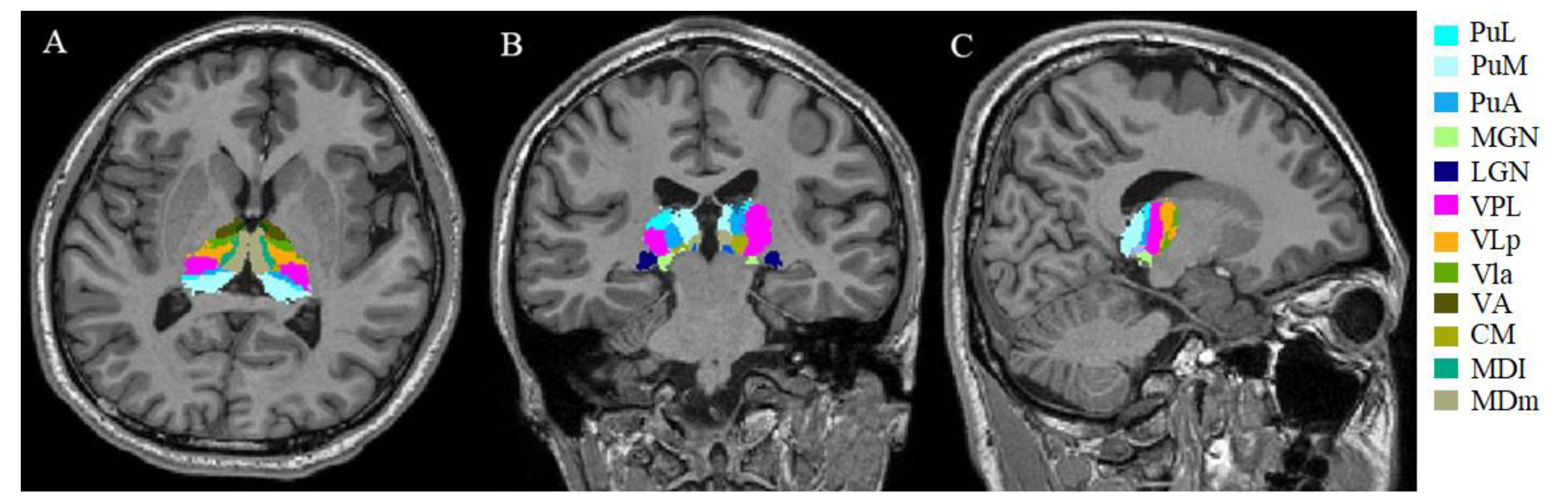 Brainsci 12 01538 g001