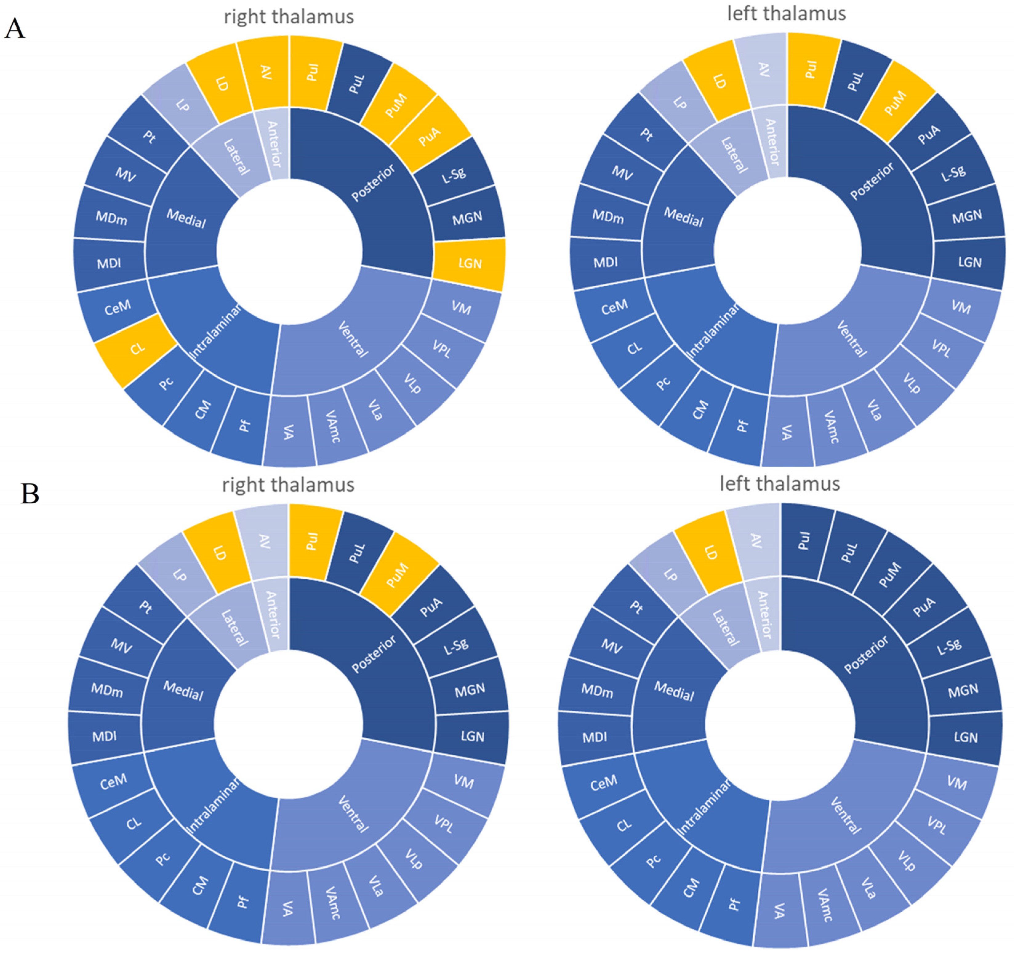 Brainsci 12 01538 g002