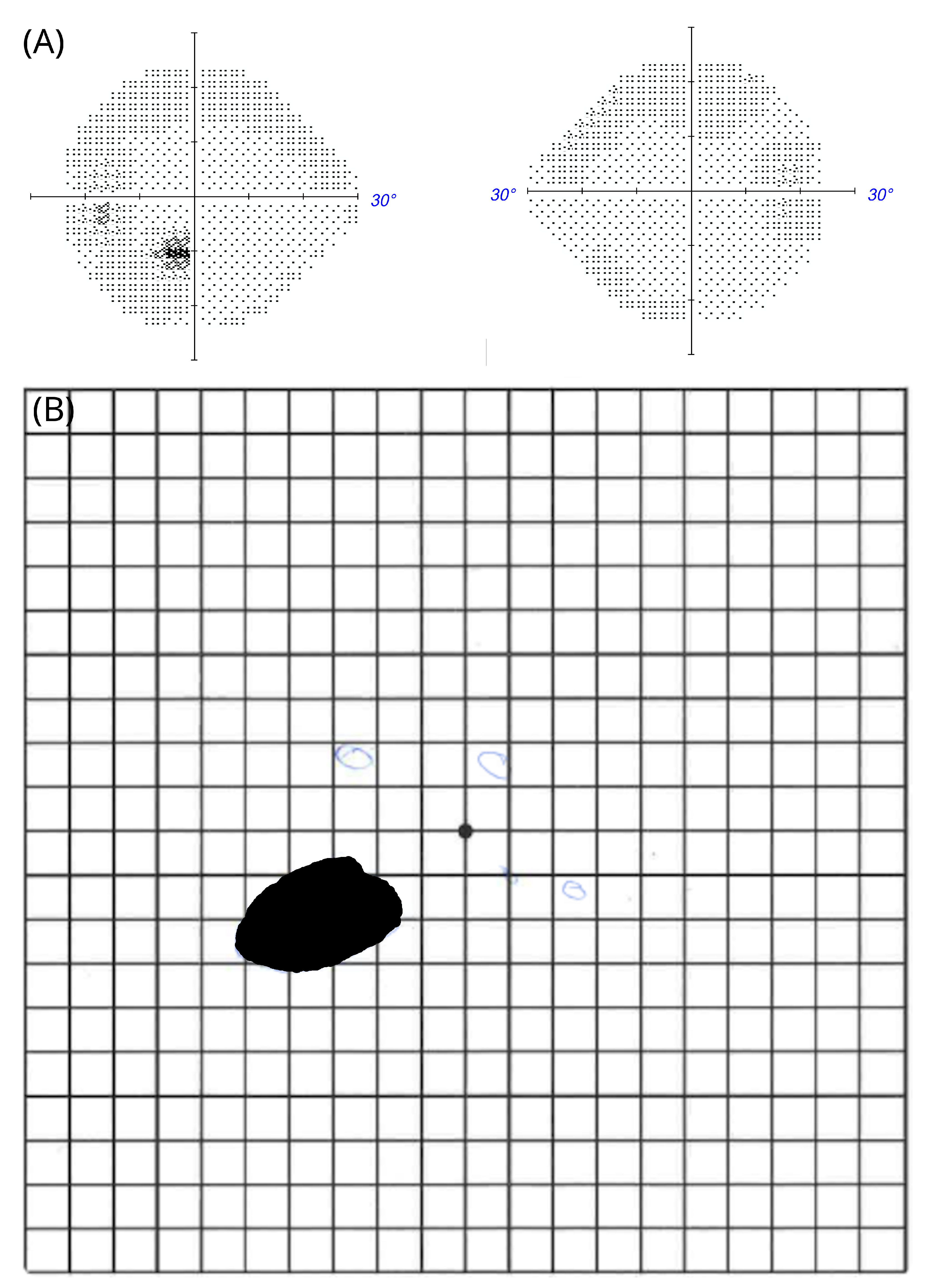 Brainsci 12 01542 g004 Brainsci 12 01542 g004