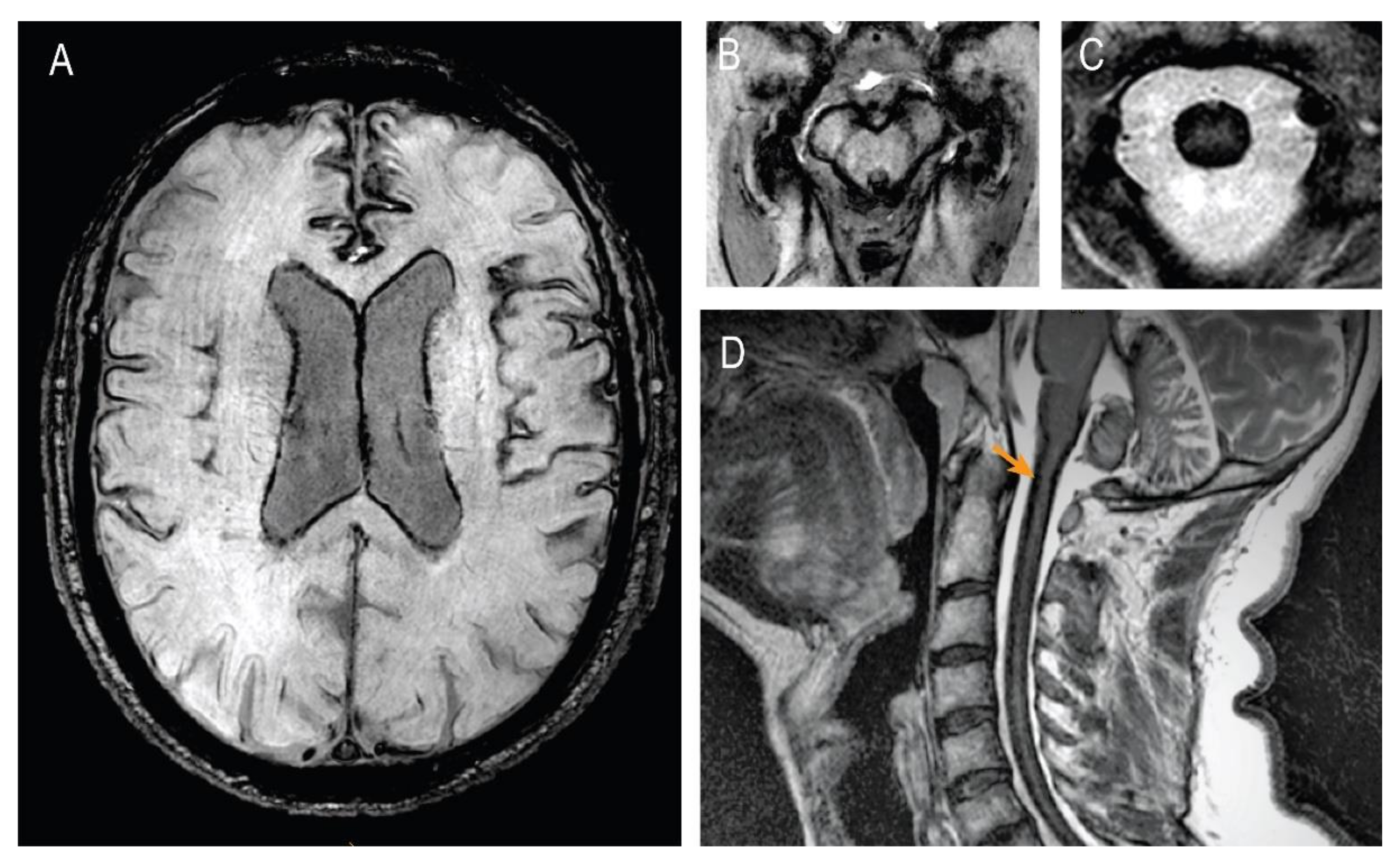 Brainsci 12 01558 g002
