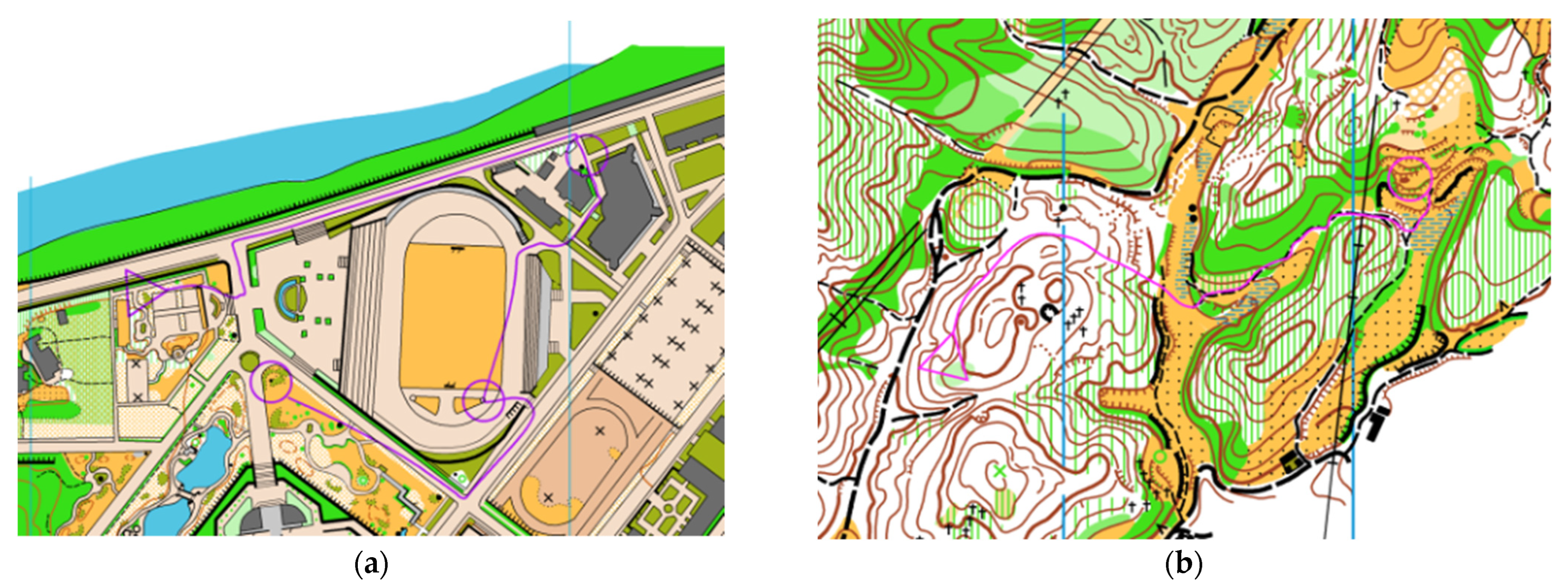 Brainsci 12 01561 g001