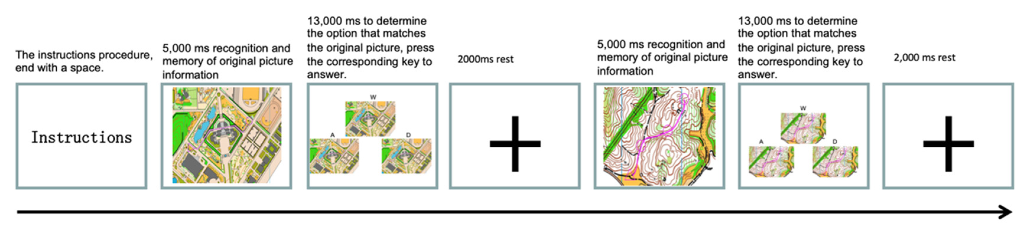 Brainsci 12 01561 g004