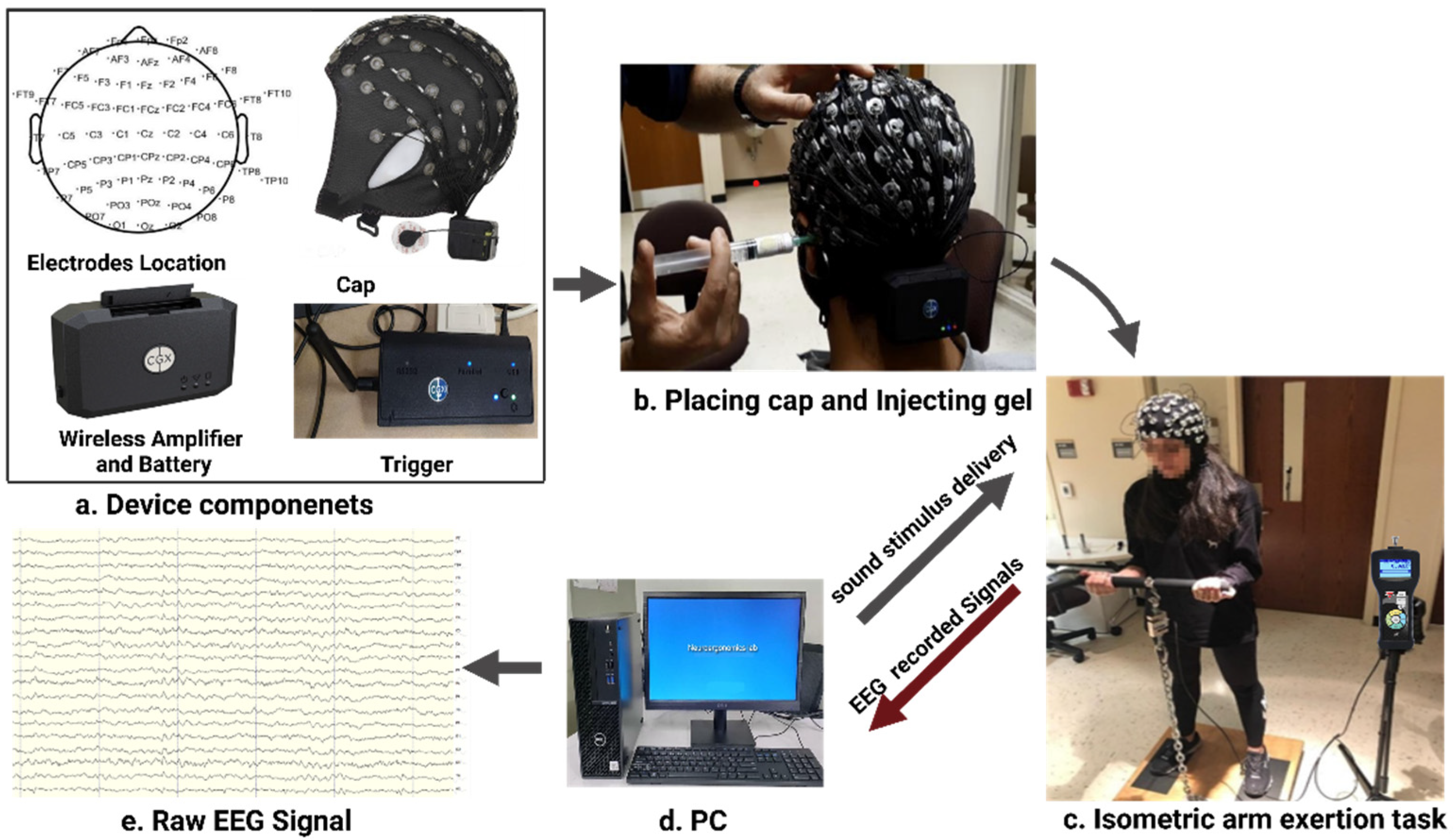 Brainsci 12 01575 g004 Brainsci 12 01575 g004