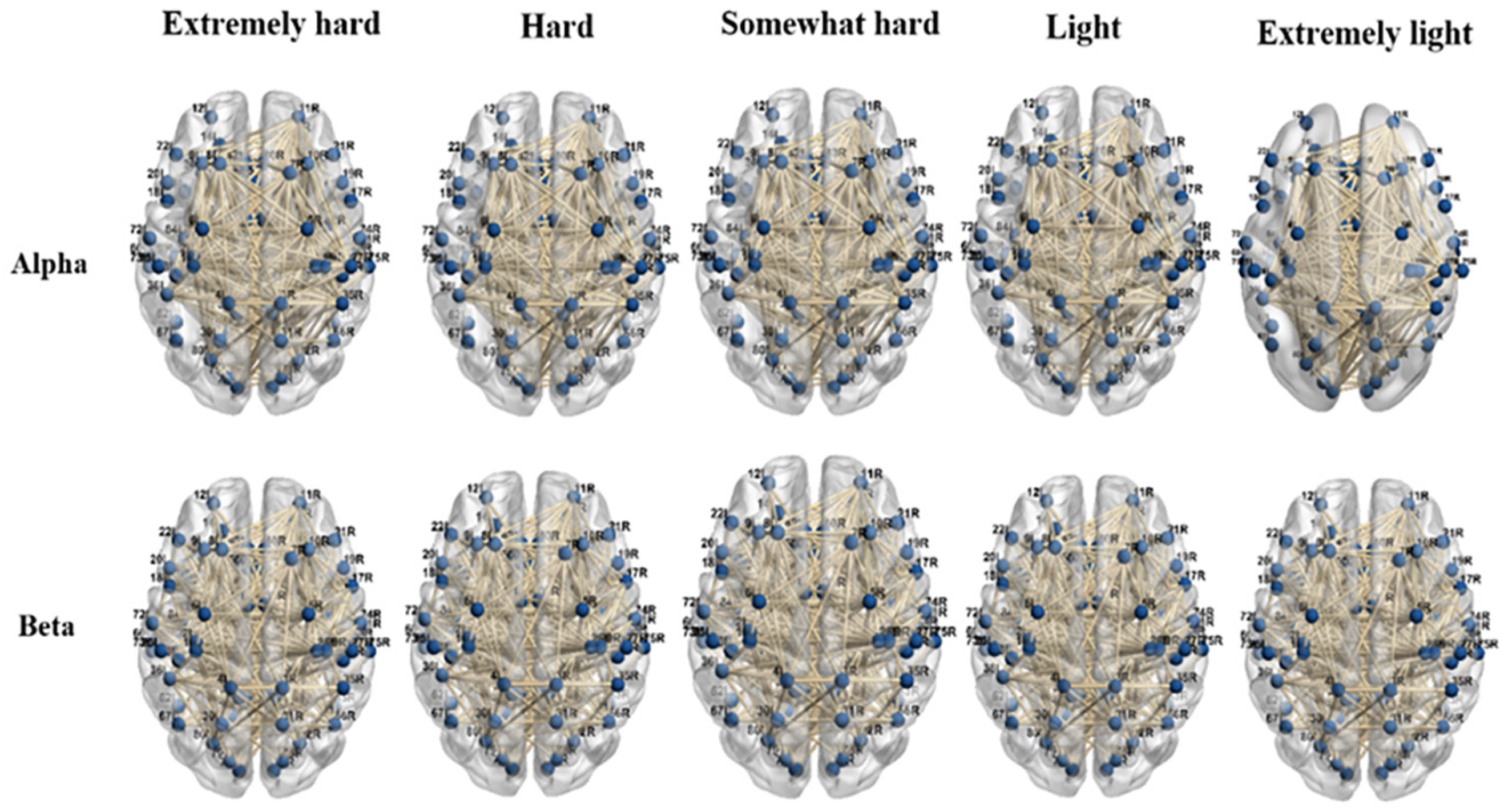 Brainsci 12 01575 g008 Brainsci 12 01575 g008