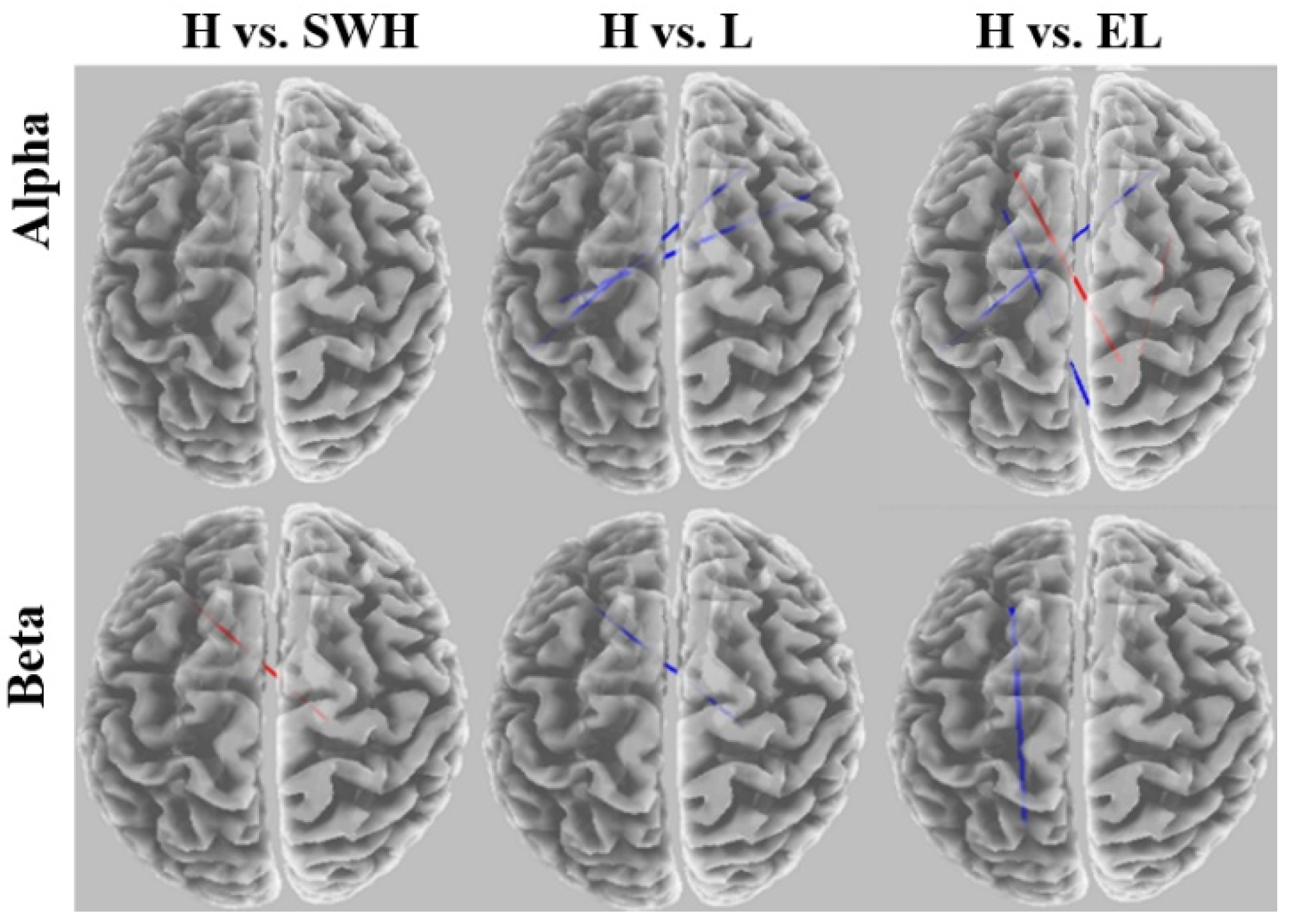 Brainsci 12 01575 g010 Brainsci 12 01575 g010