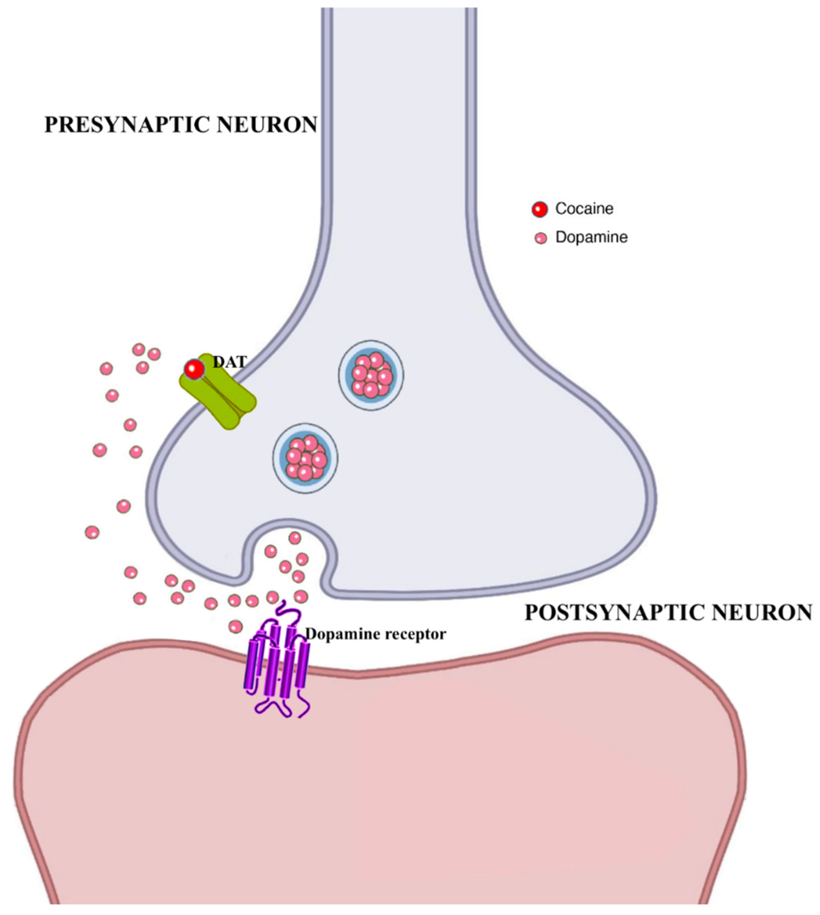 Brainsci 12 01582 g003