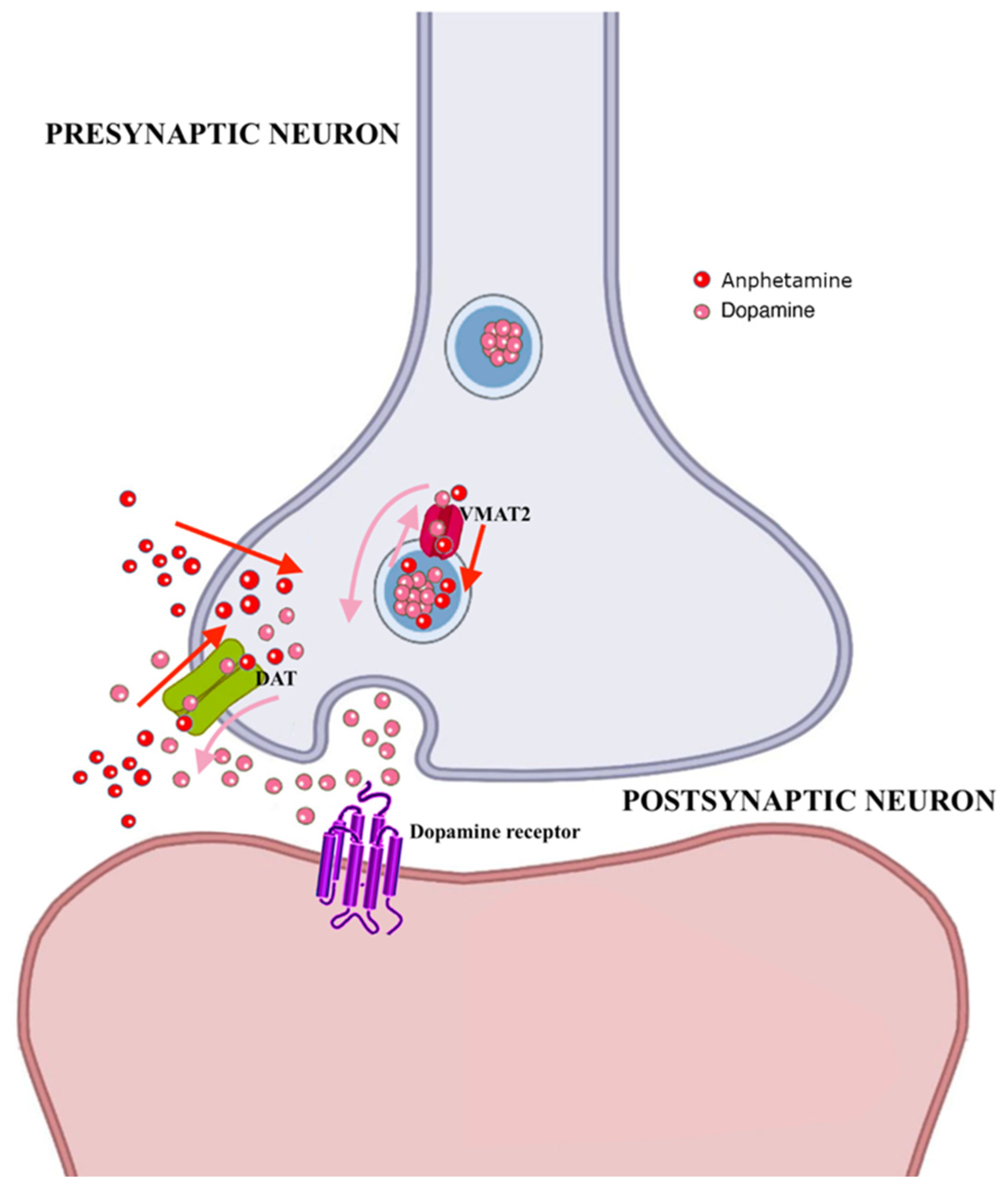 Brainsci 12 01582 g004
