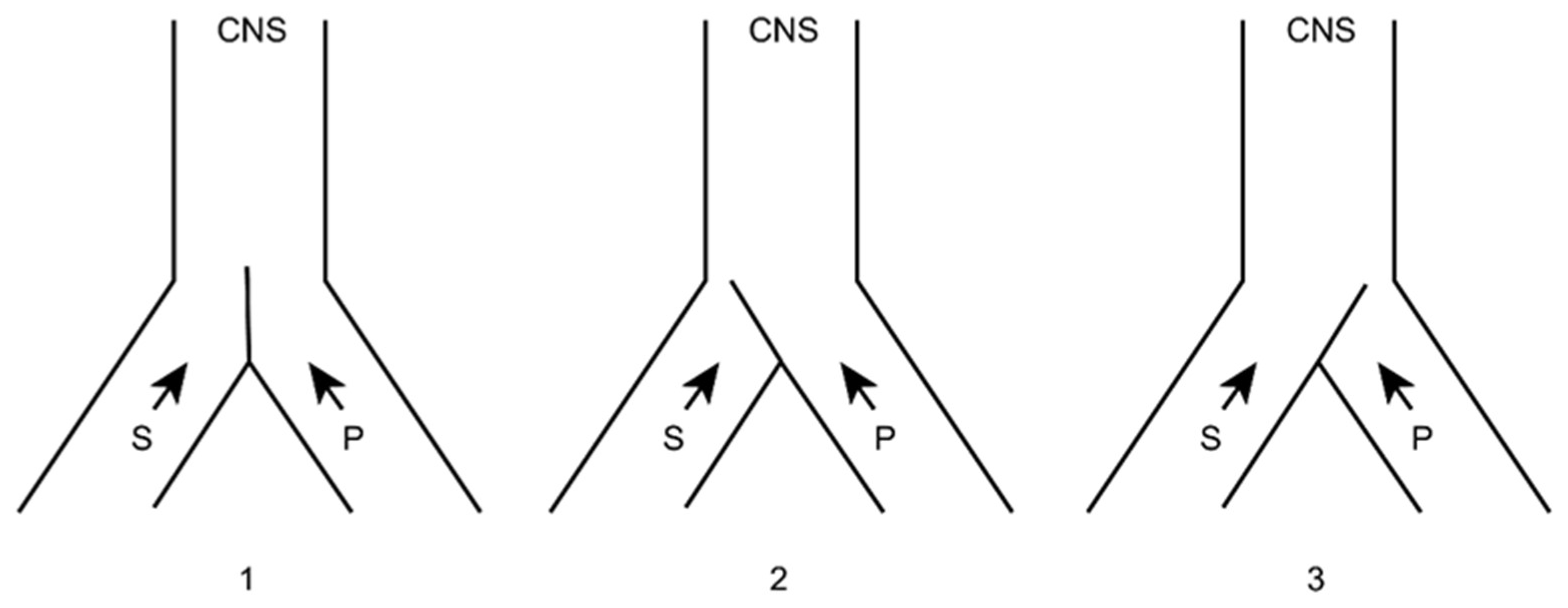 Brainsci 12 01584 g005 Brainsci 12 01584 g005