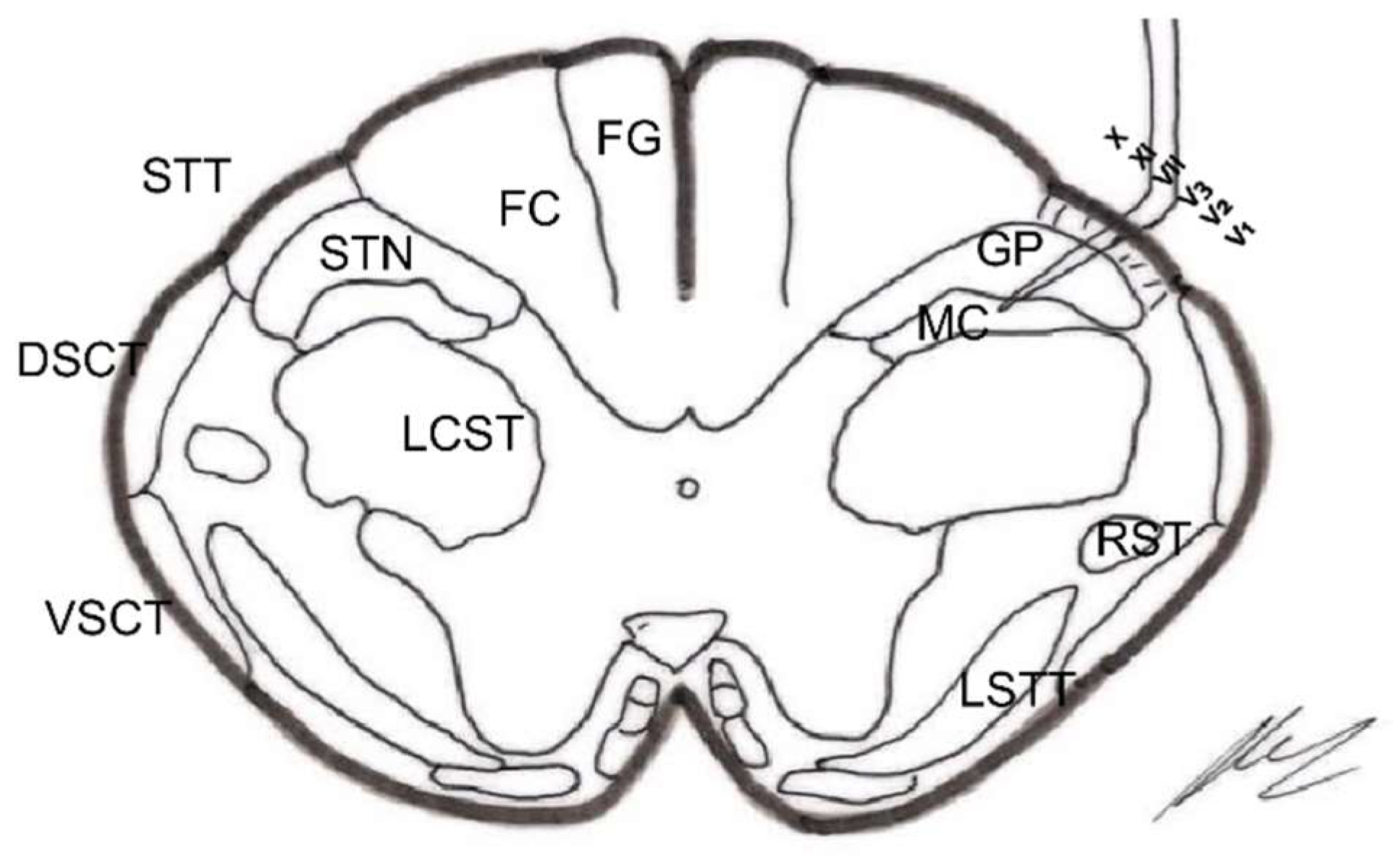 Brainsci 12 01584 g011 Brainsci 12 01584 g011