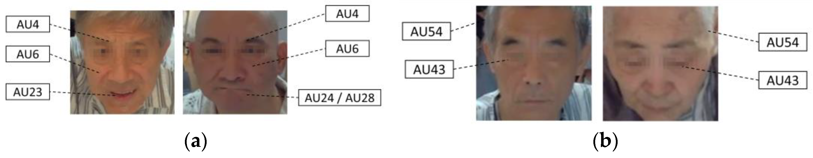 Brainsci 12 01626 g001