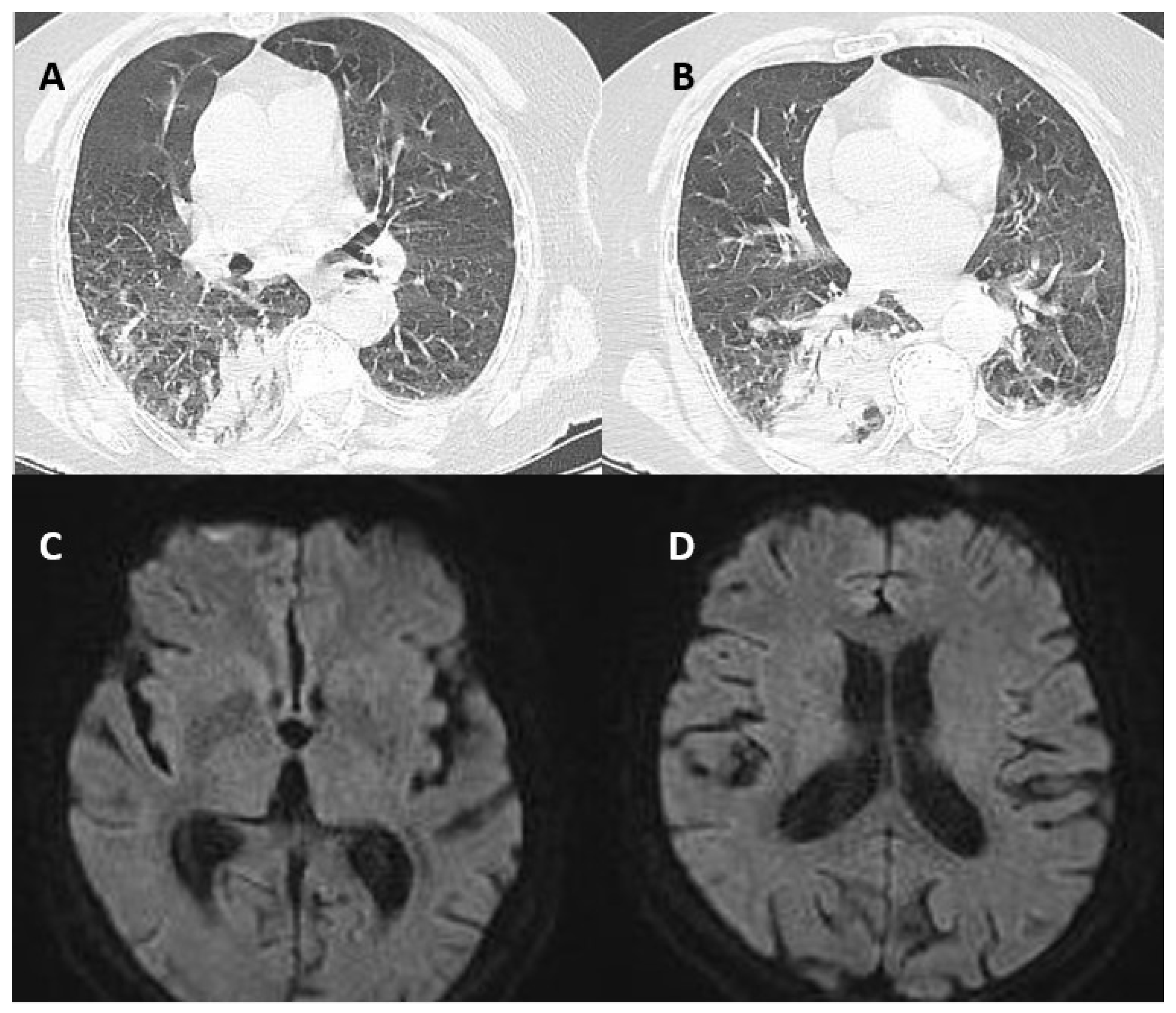 Brainsci 12 01733 g001