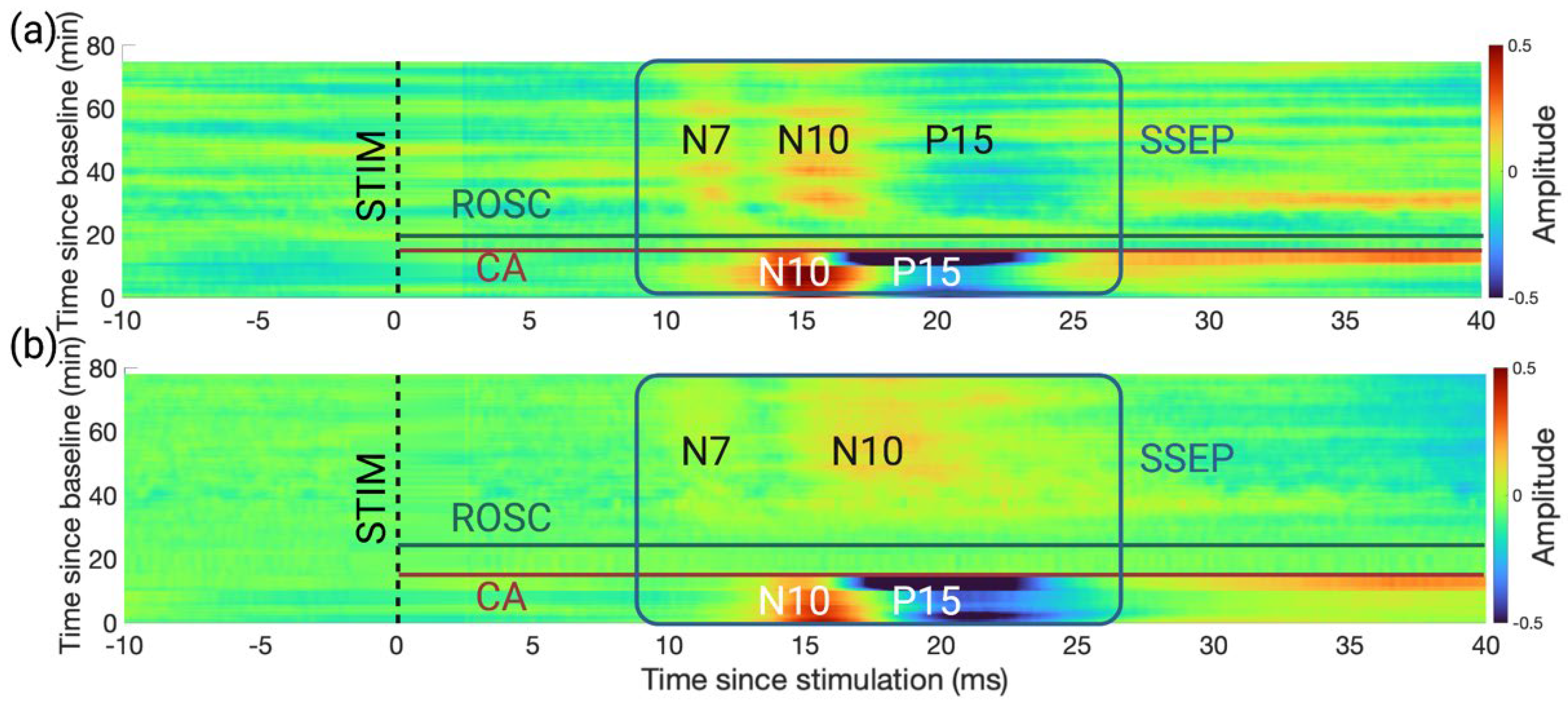 Brainsci 13 00002 g003