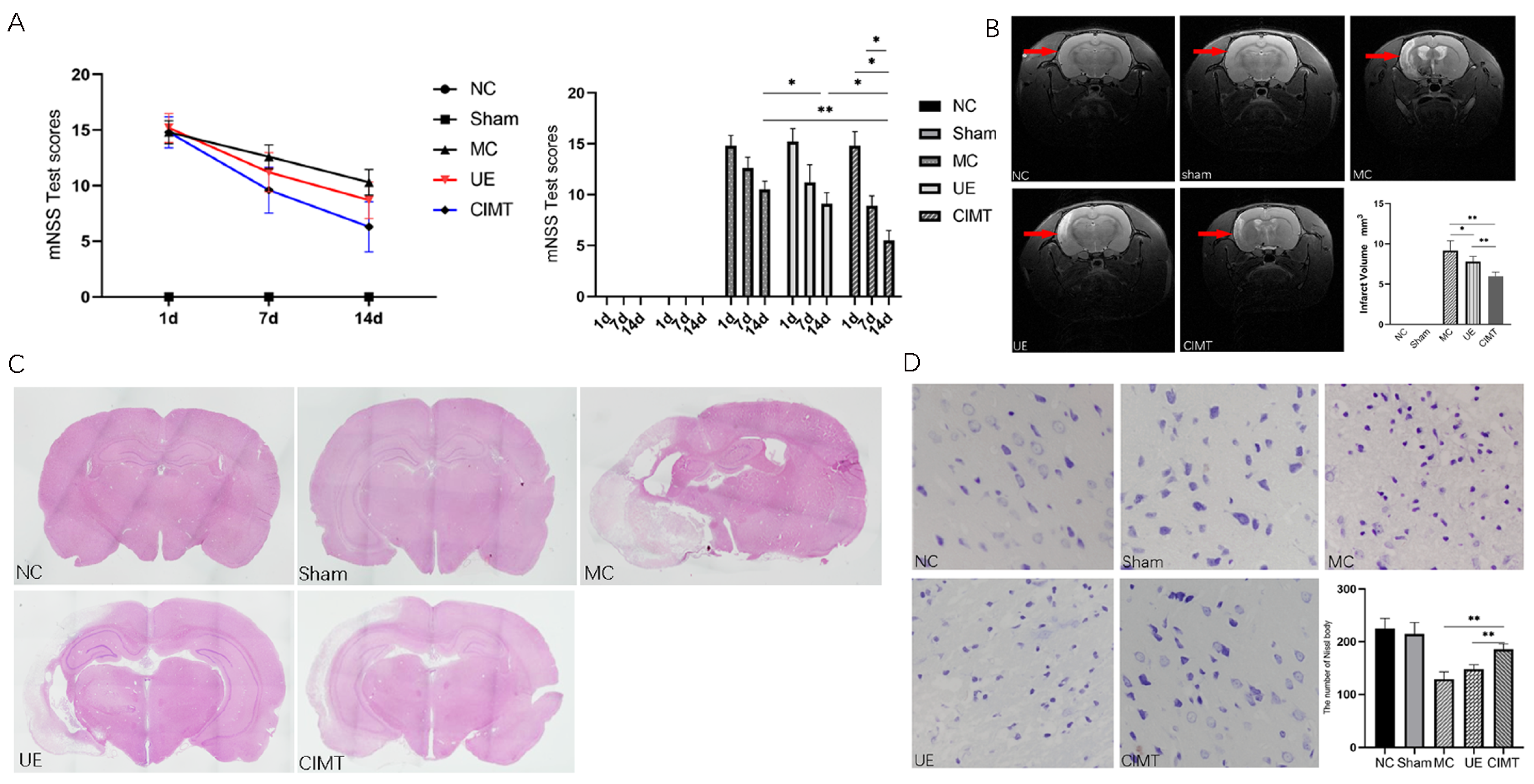 Brainsci 13 00004 g003 Brainsci 13 00004 g003