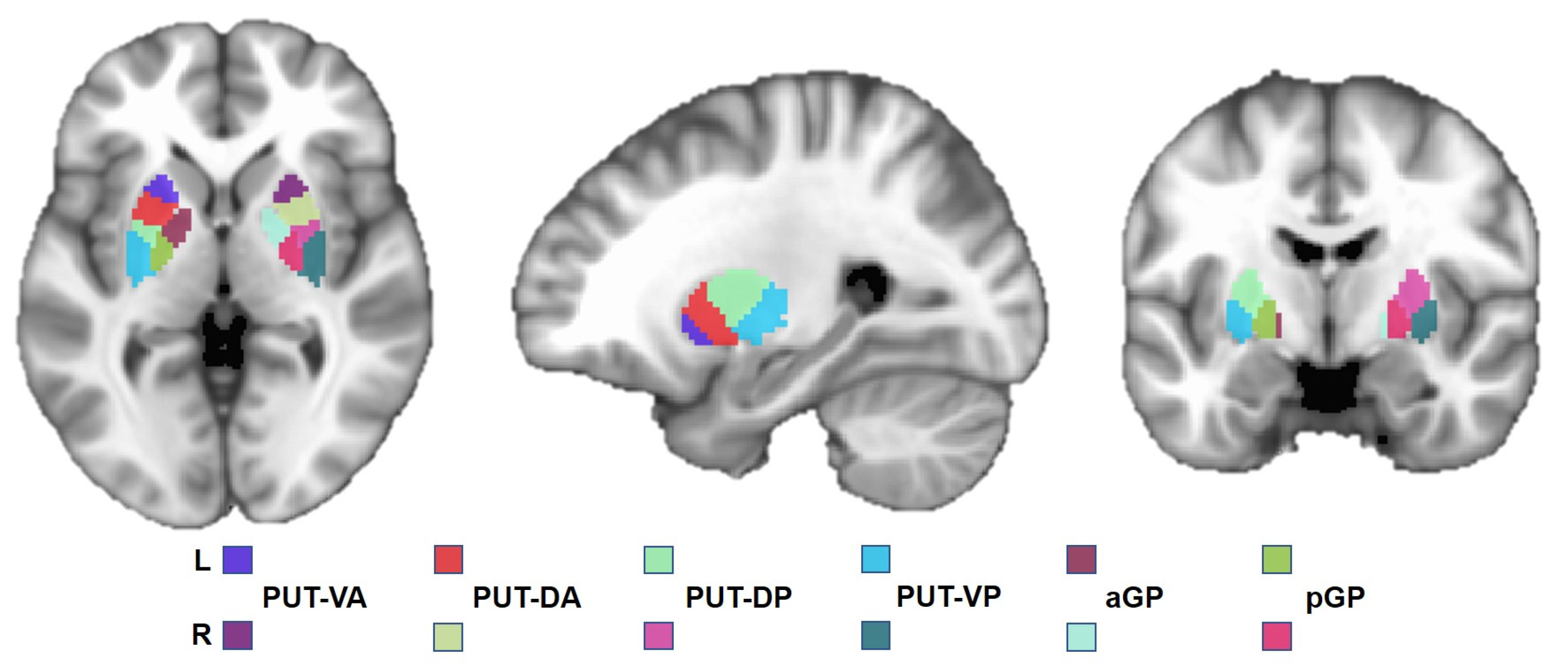 Brainsci 13 00007 g001