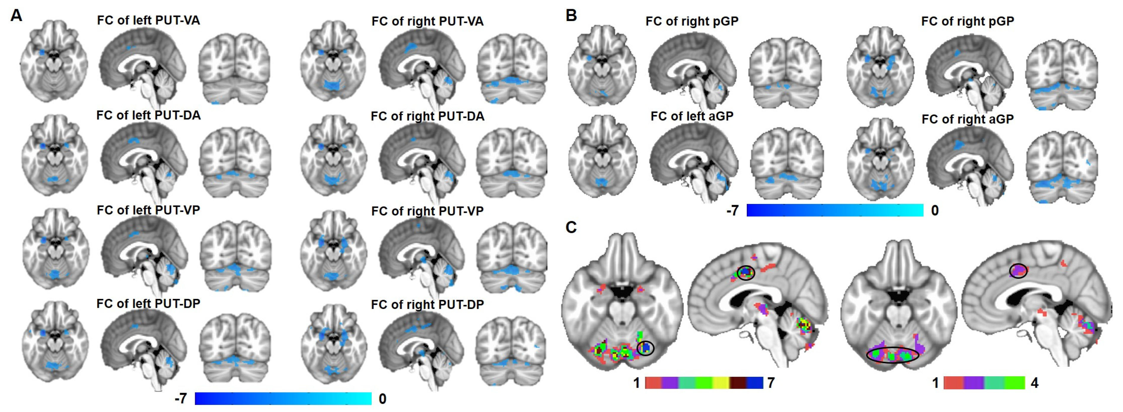 Brainsci 13 00007 g003