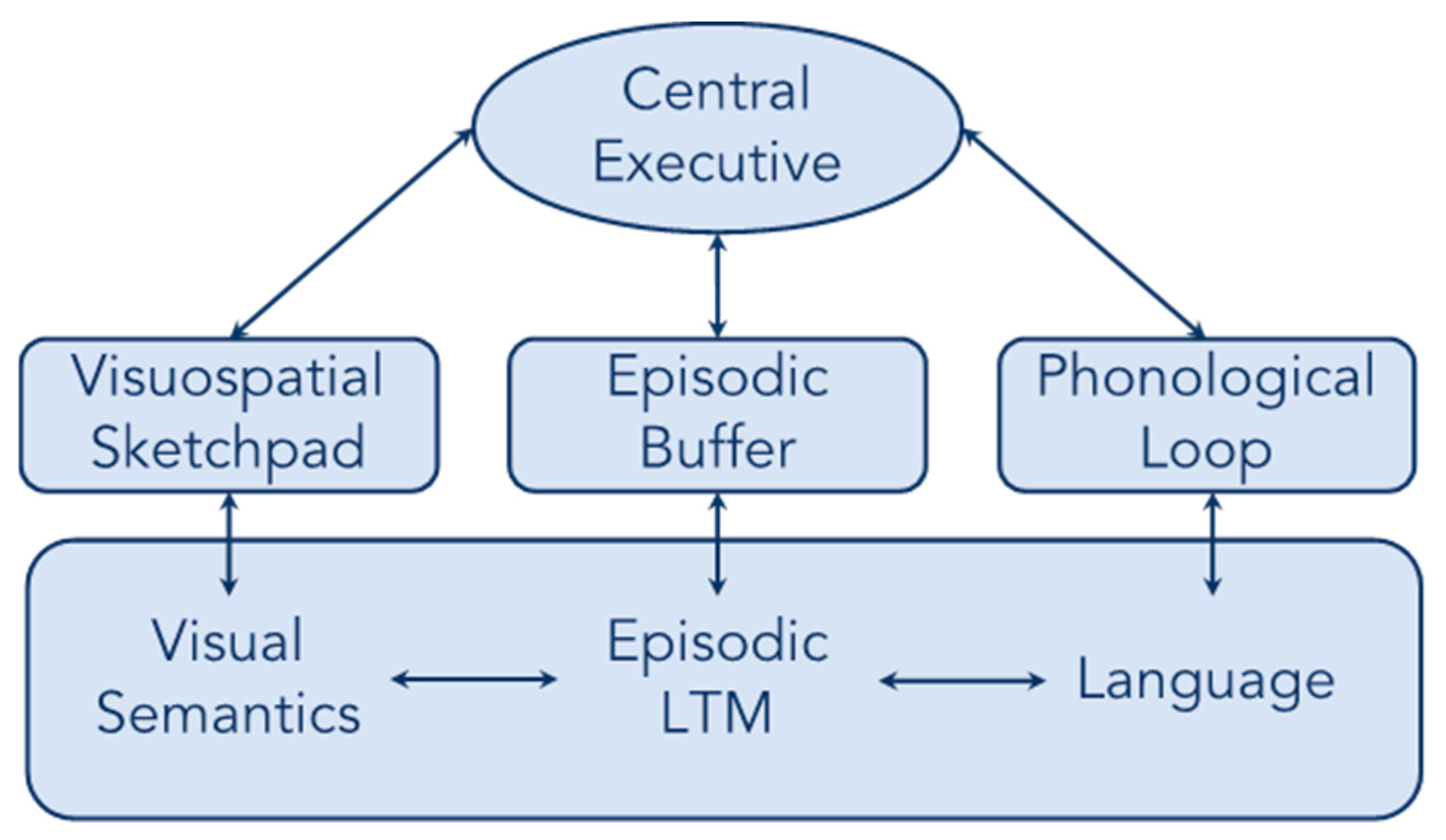 Brainsci 13 00019 g001