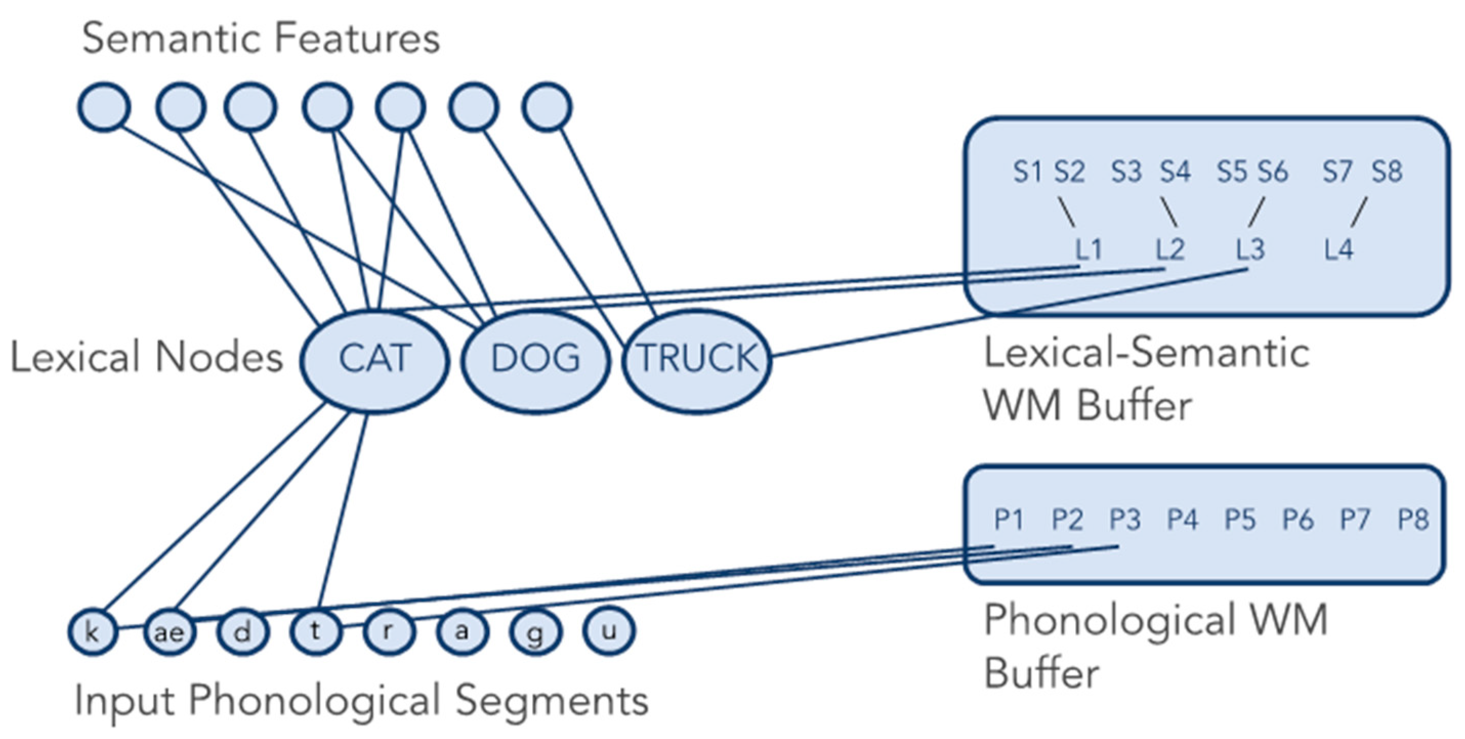 Brainsci 13 00019 g002