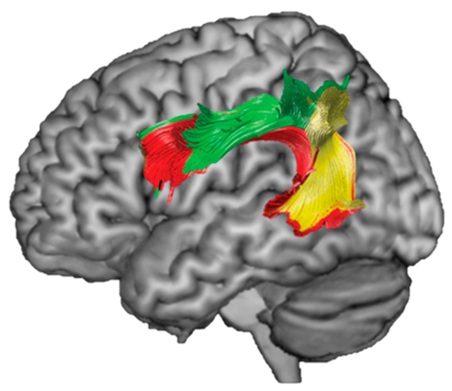 Brainsci 13 00019 g004