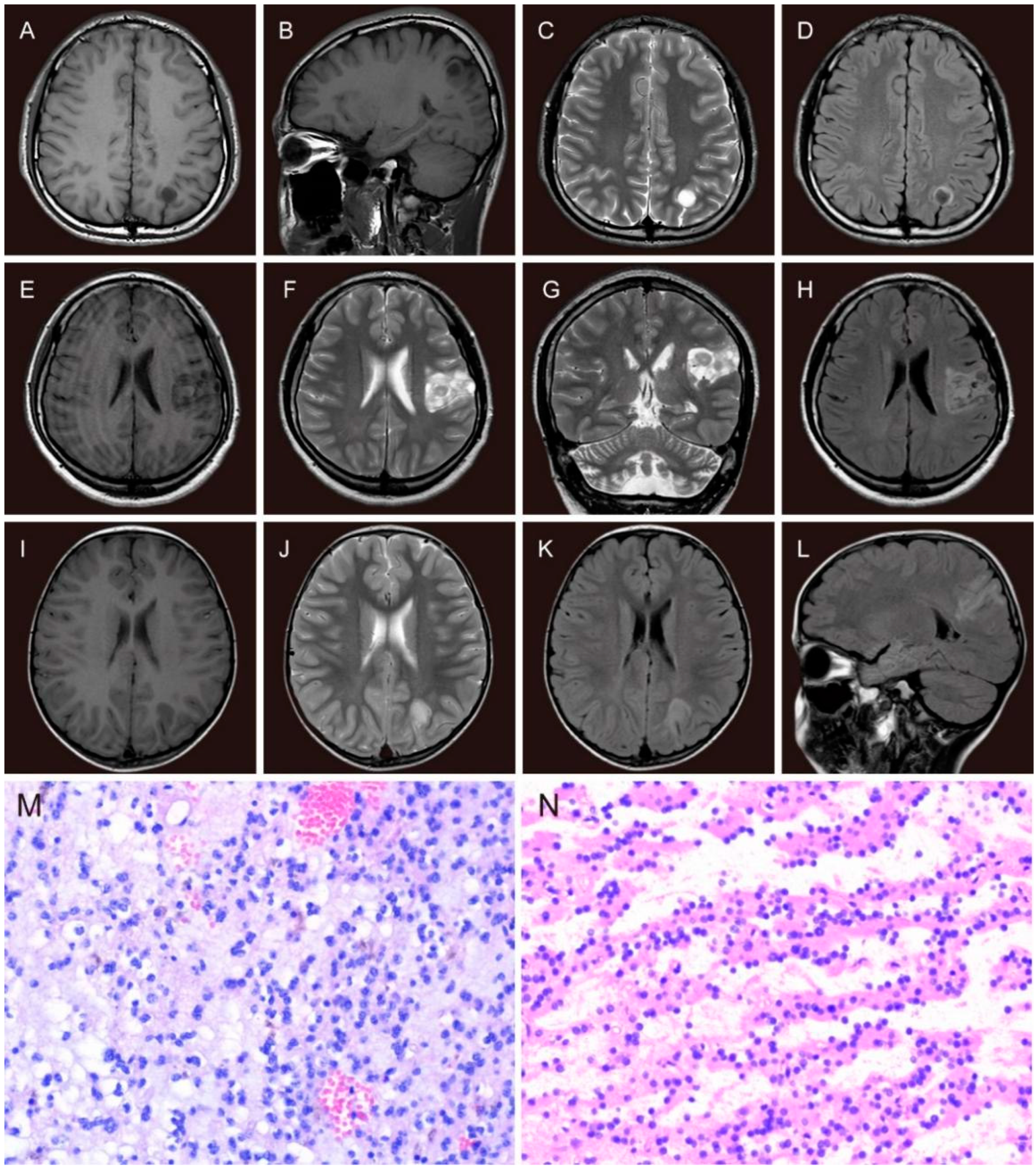 Brainsci 13 00024 g002