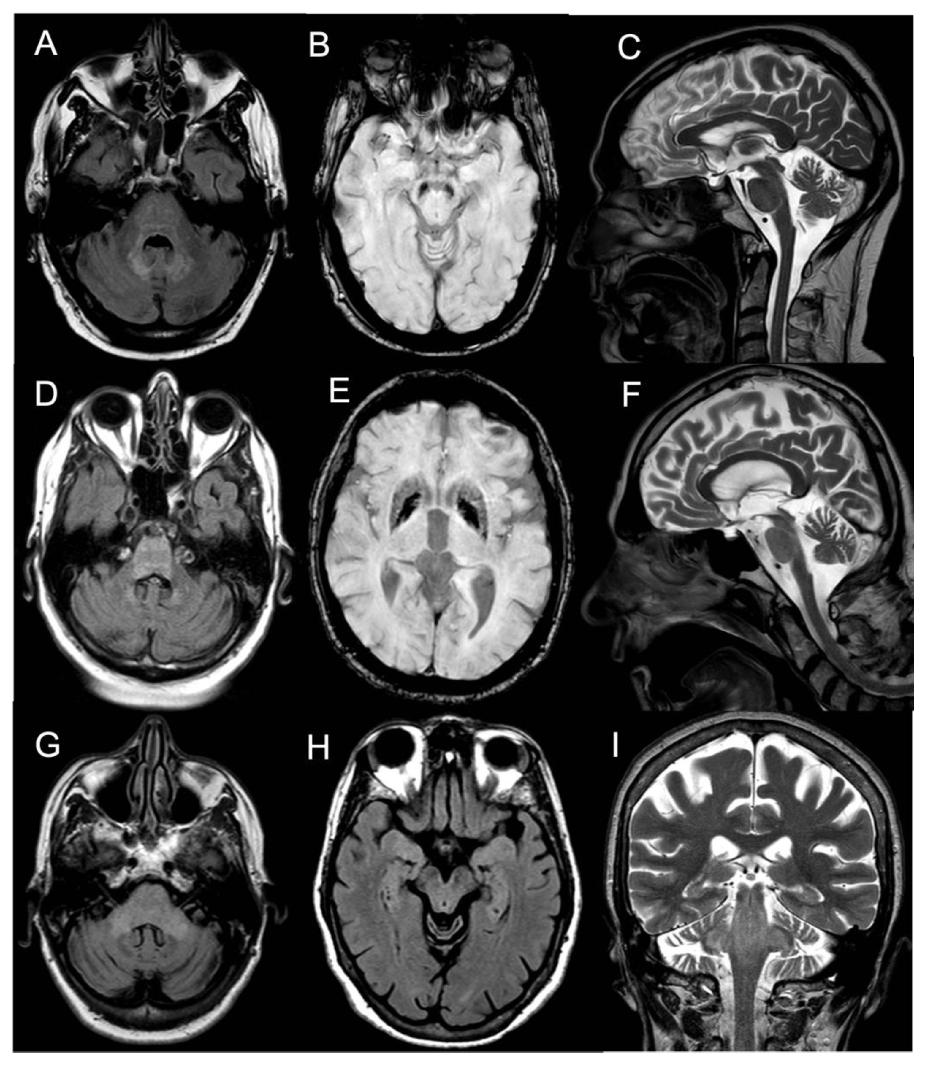 Brainsci 13 00026 g001