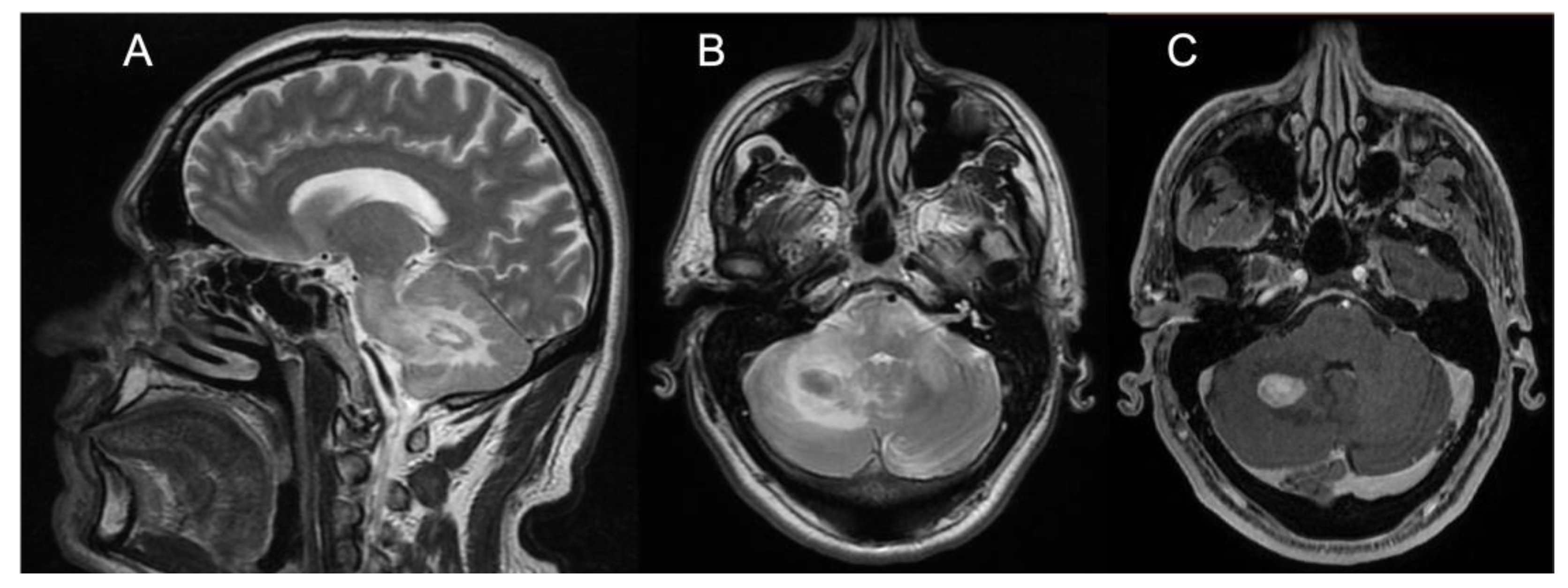 Brainsci 13 00026 g002