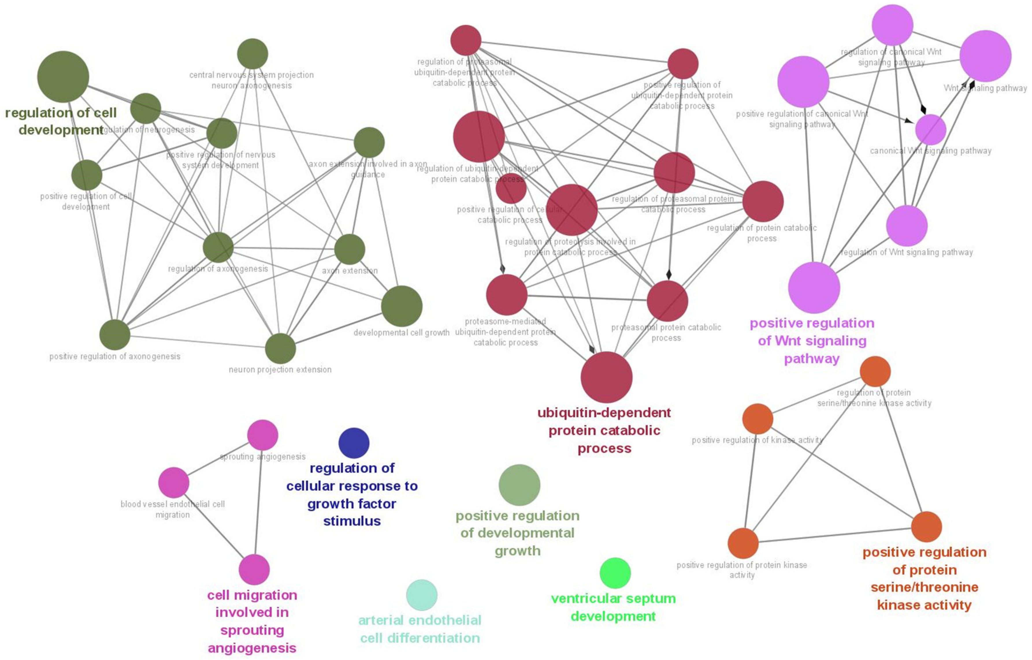 Brainsci 13 00027 g002 Brainsci 13 00027 g002