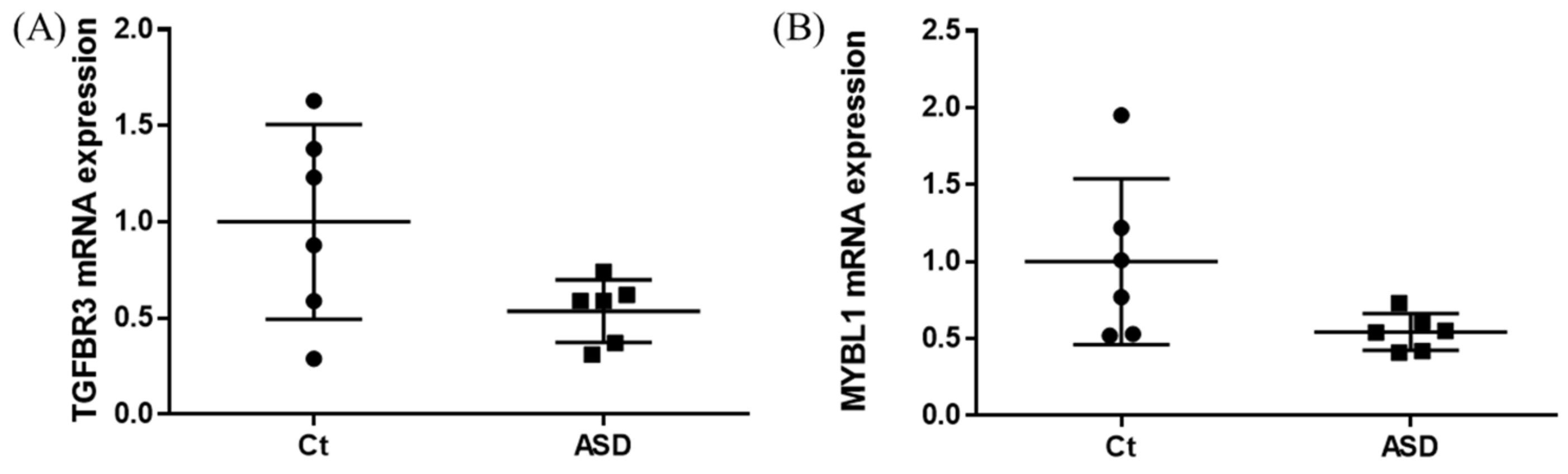 Brainsci 13 00027 g003 Brainsci 13 00027 g003