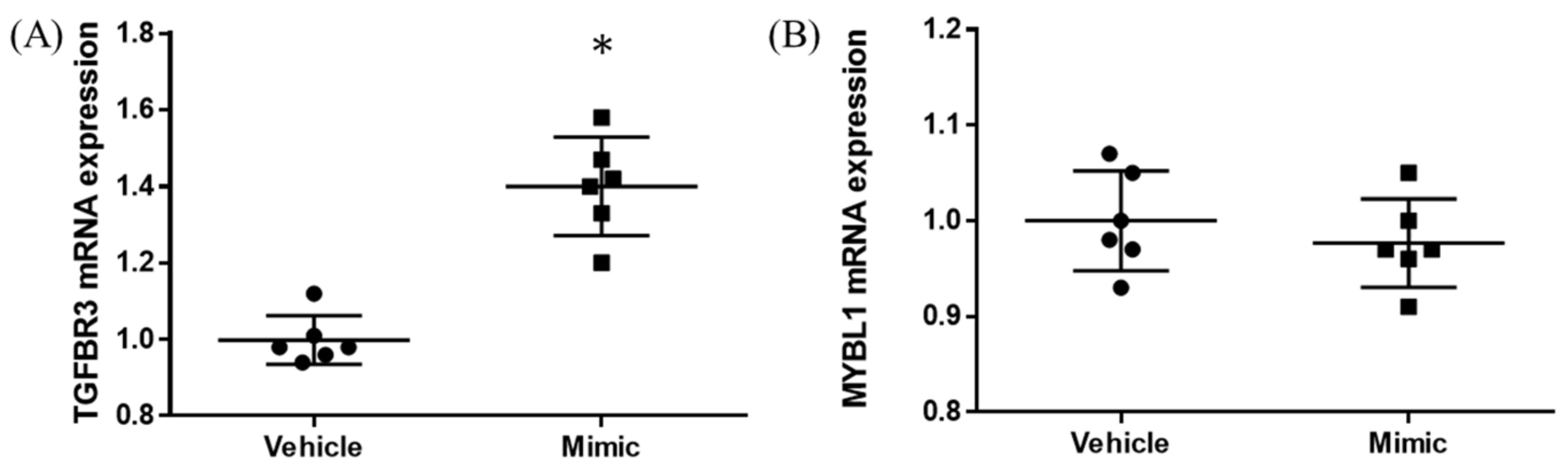 Brainsci 13 00027 g004 Brainsci 13 00027 g004
