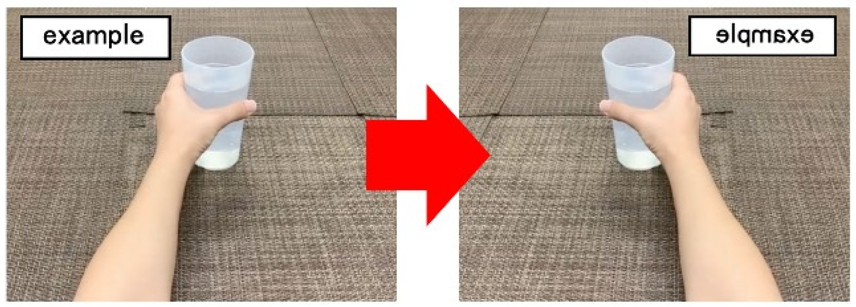 Brainsci 13 00029 g002