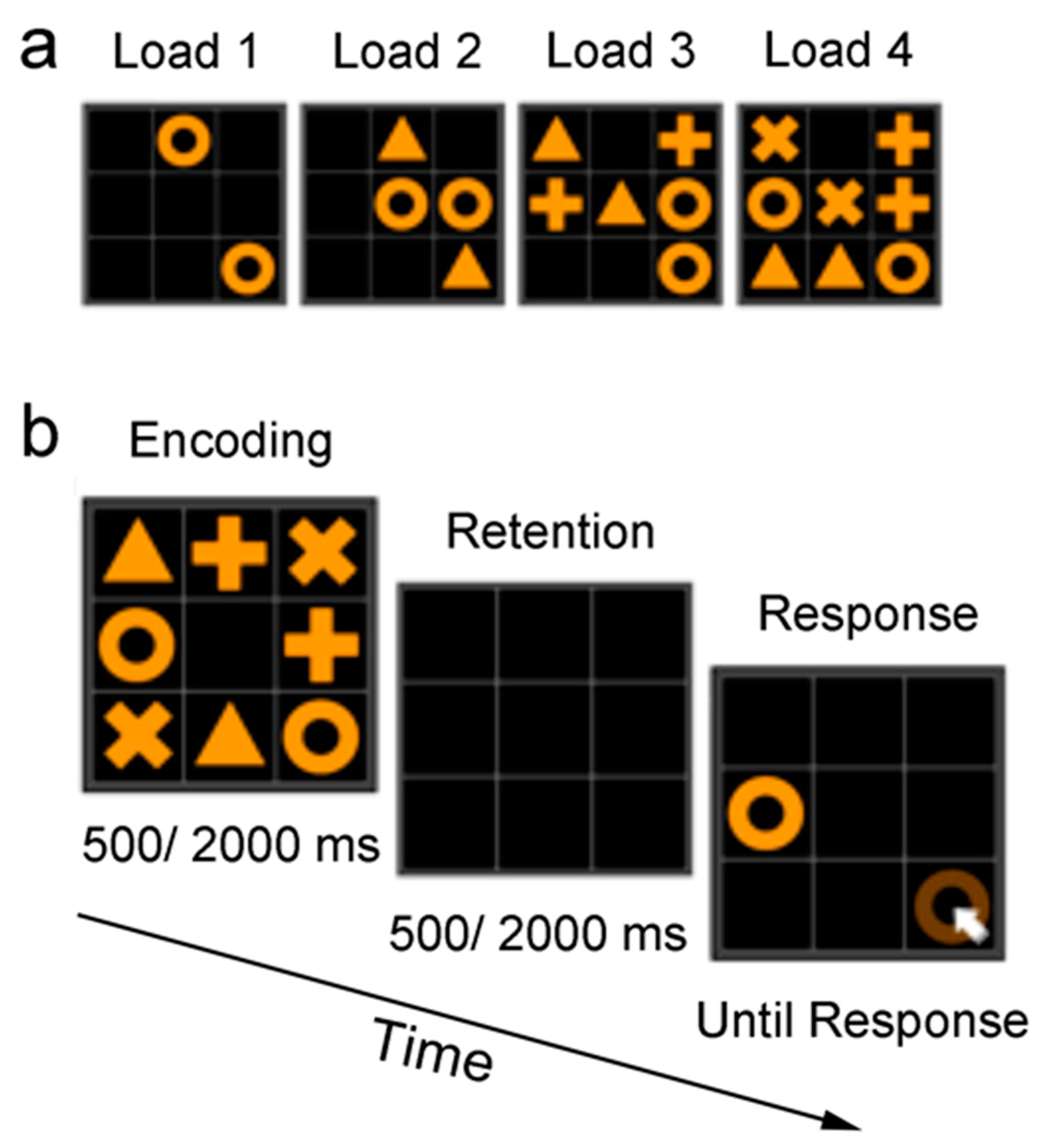Brainsci 13 00038 g001