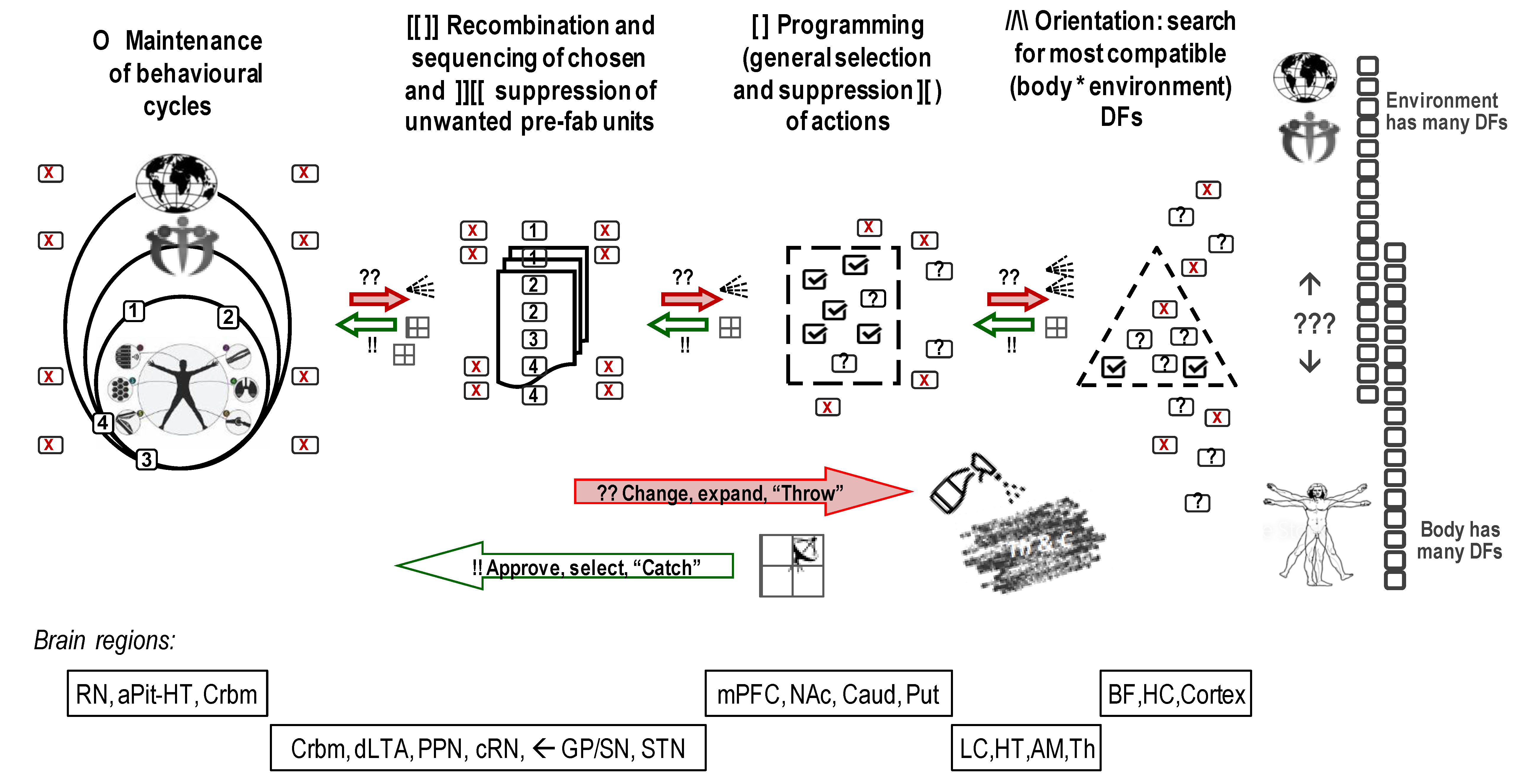 Brainsci 13 00039 g001