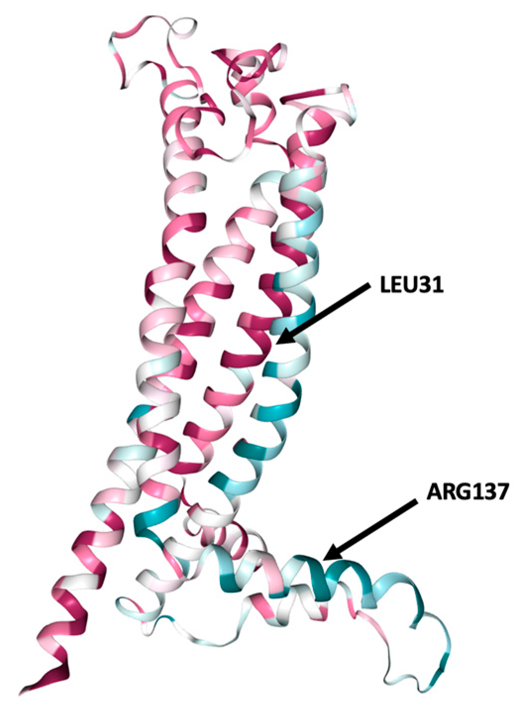 Brainsci 13 00042 g002