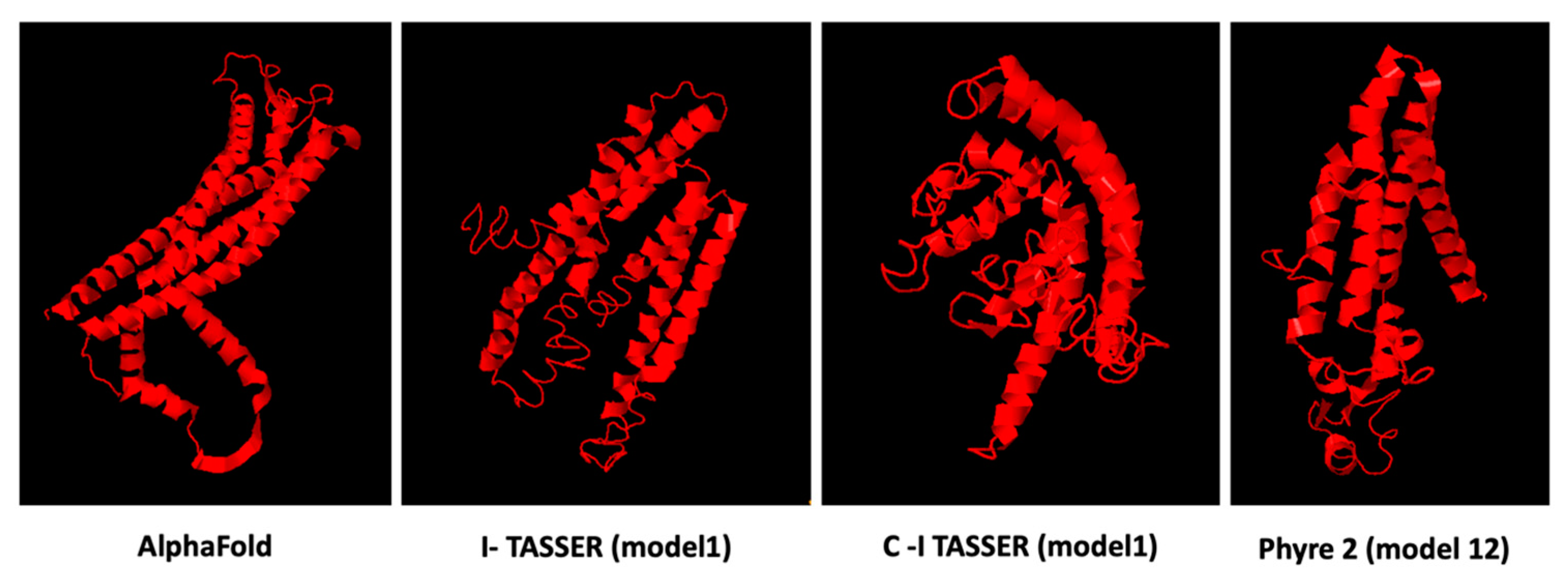 Brainsci 13 00042 g003
