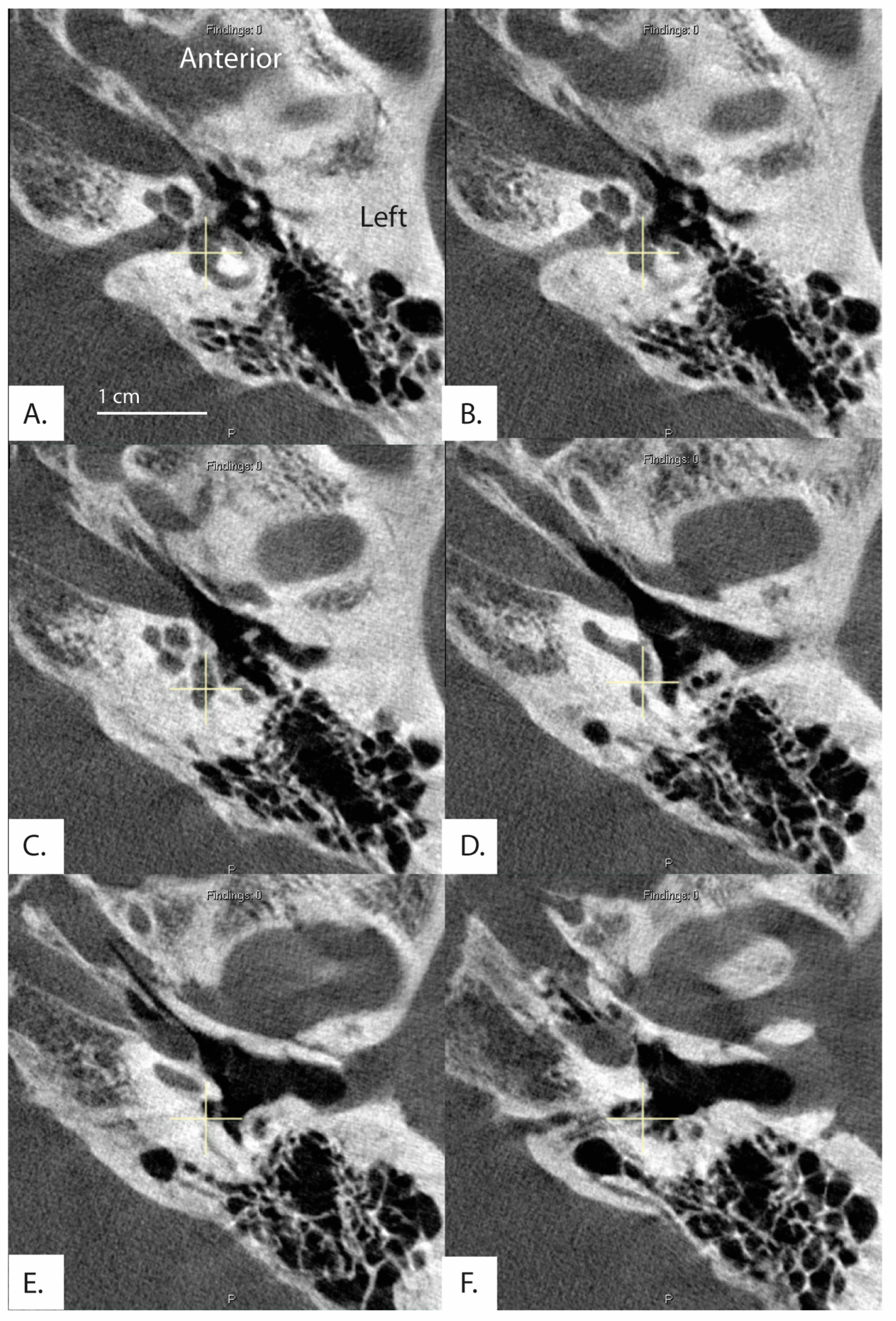 Brainsci 13 00047 g005