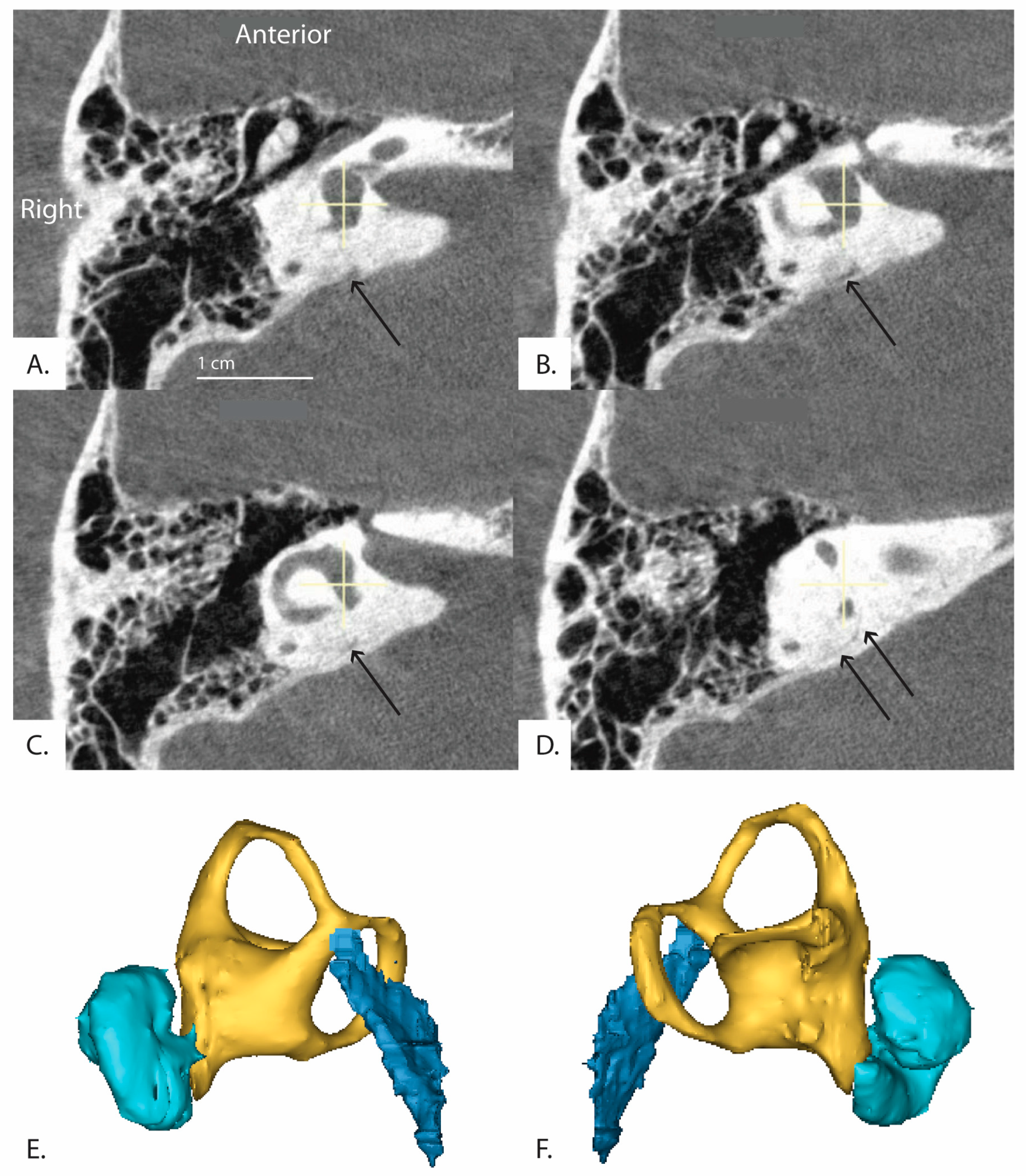 Brainsci 13 00047 g006