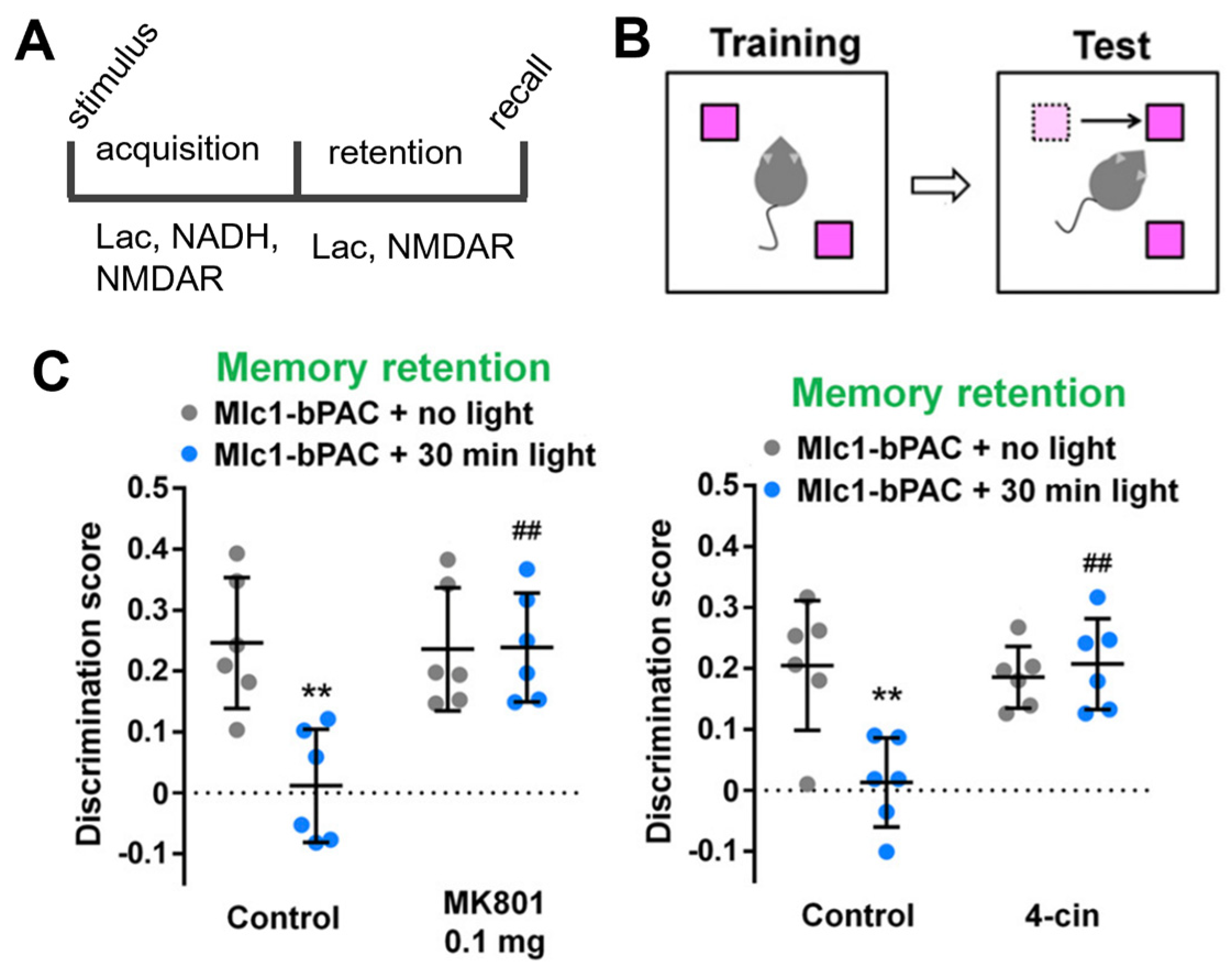 Brainsci 13 00049 g002