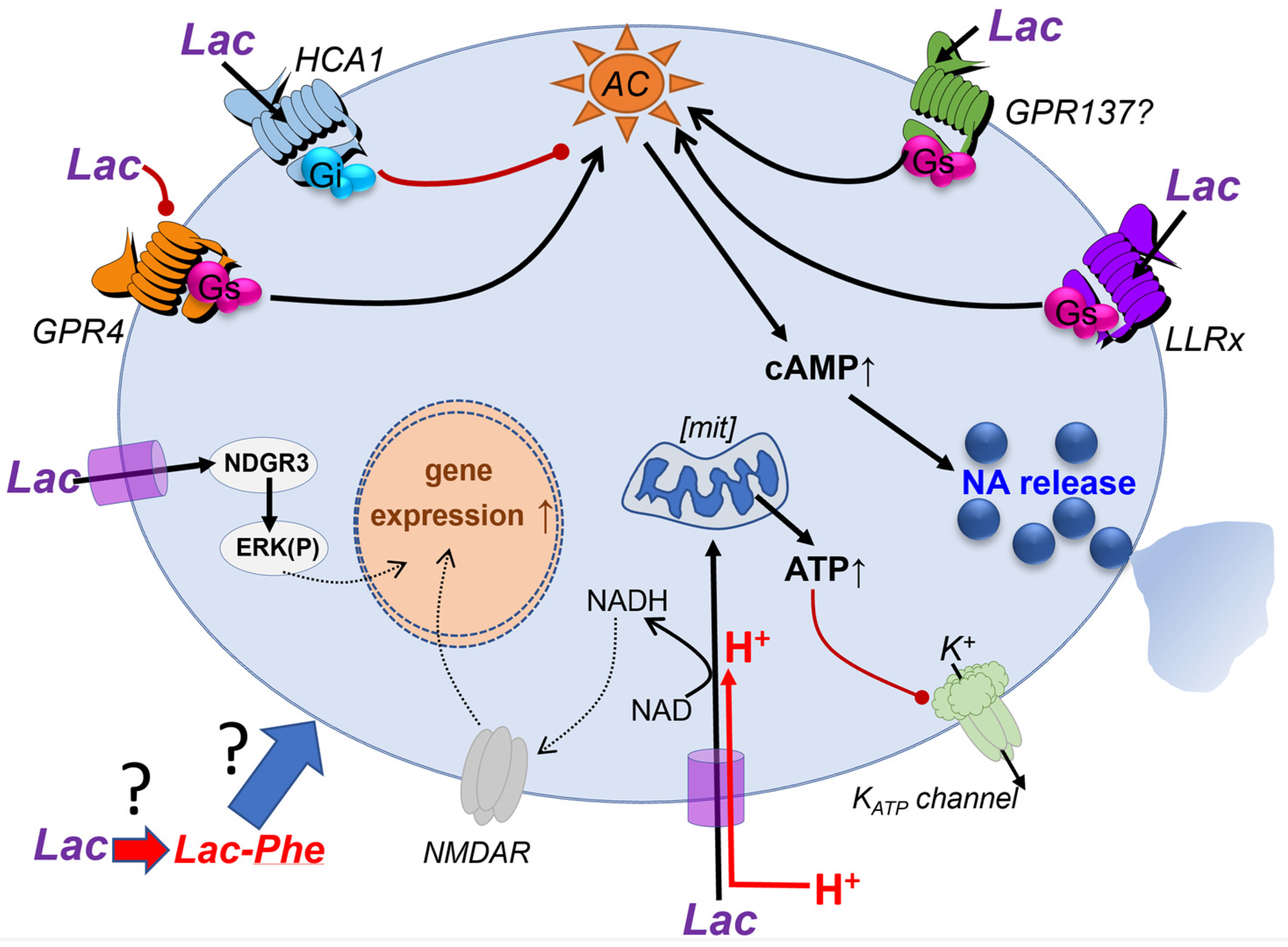 Brainsci 13 00049 g003