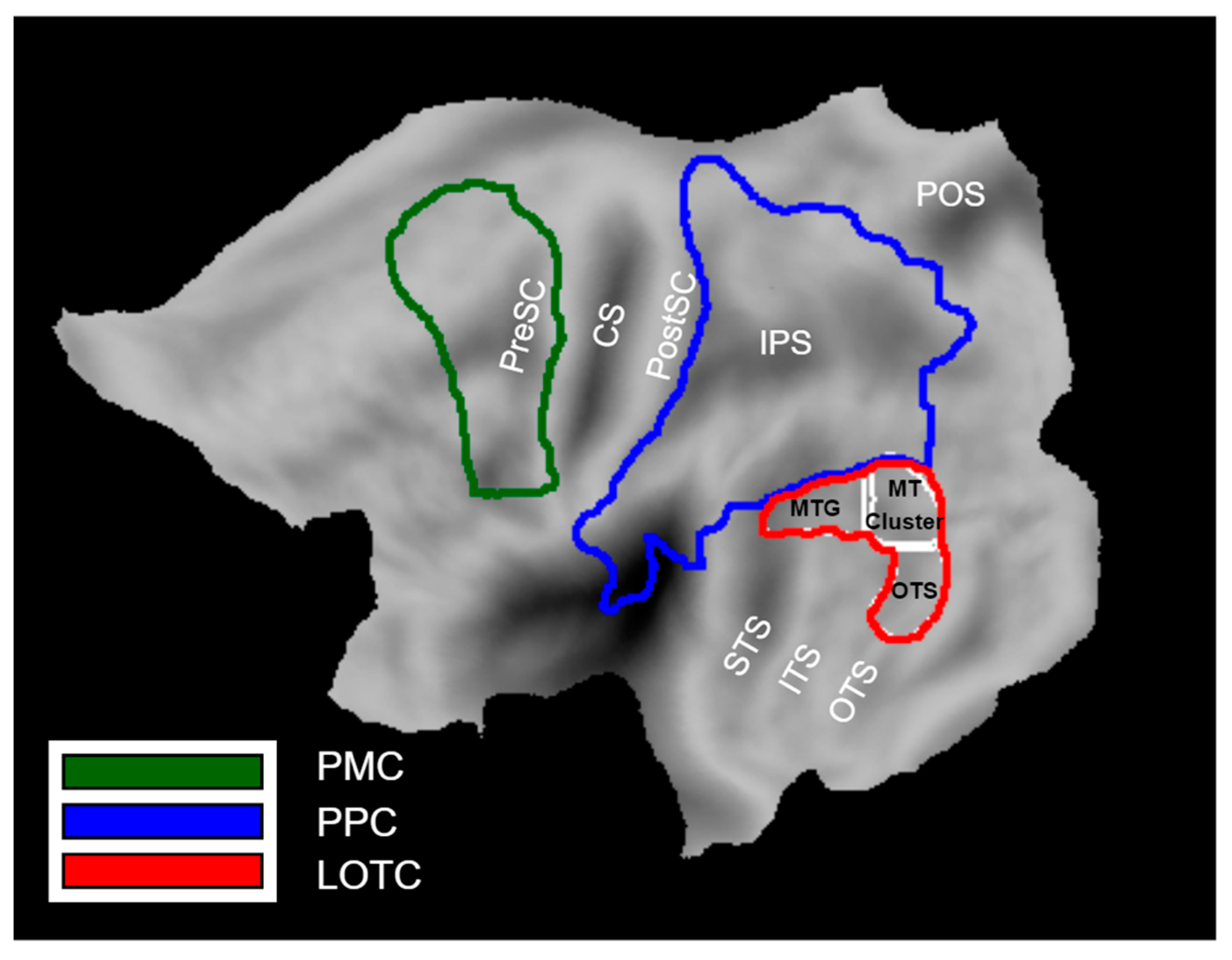 Brainsci 13 00061 g002