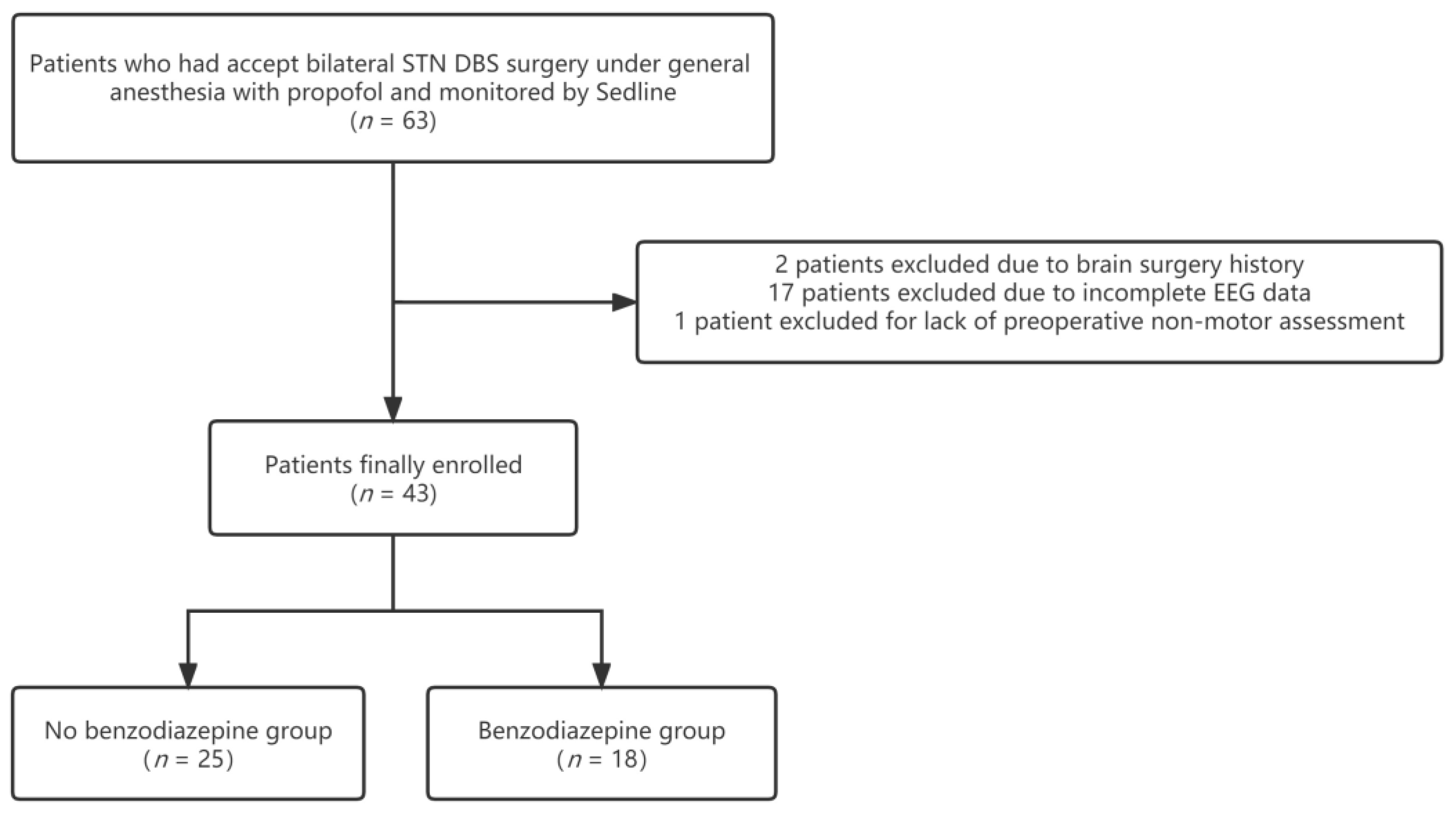 Brainsci 13 00062 g001